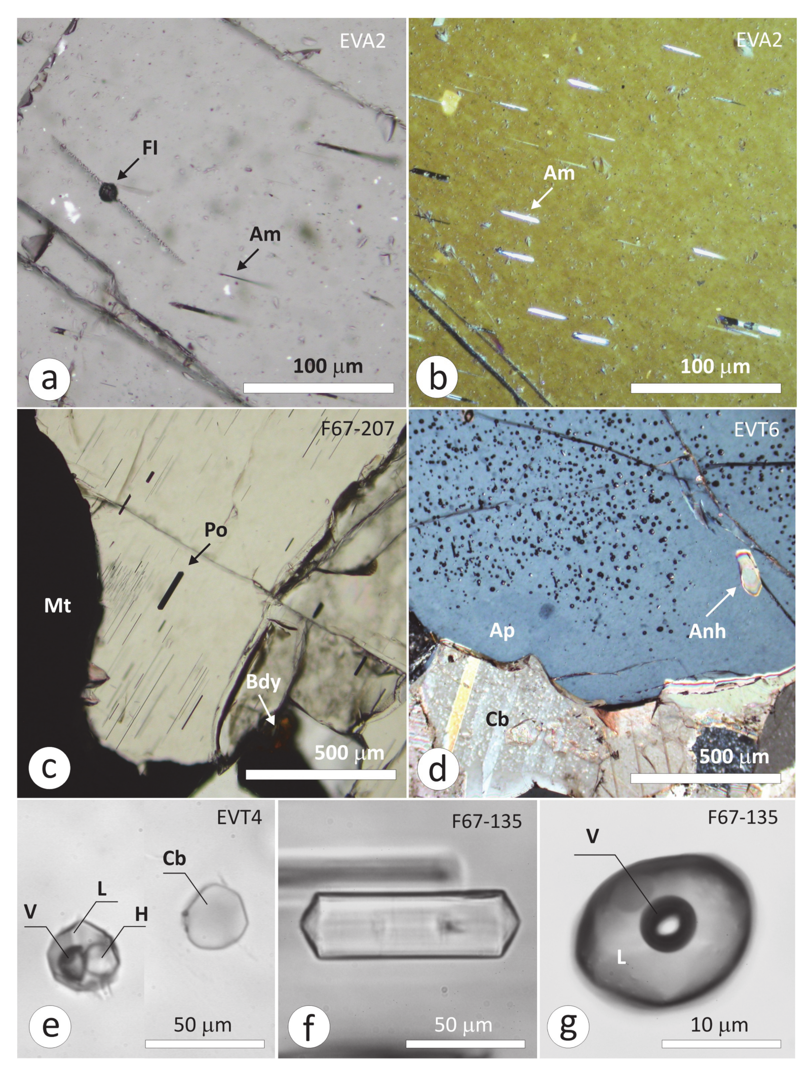 Minerals 10 01125 g003