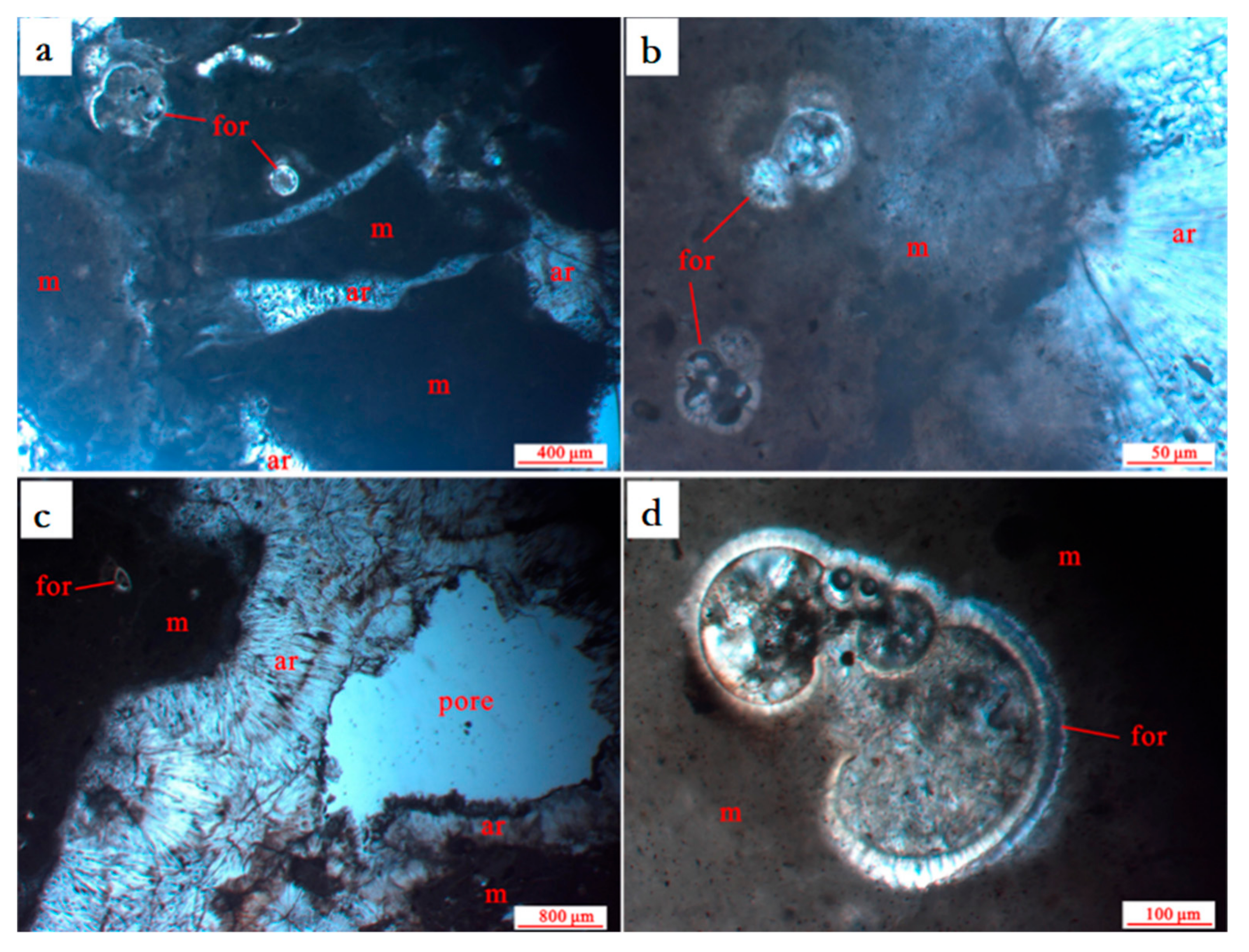 Minerals 10 01135 g003