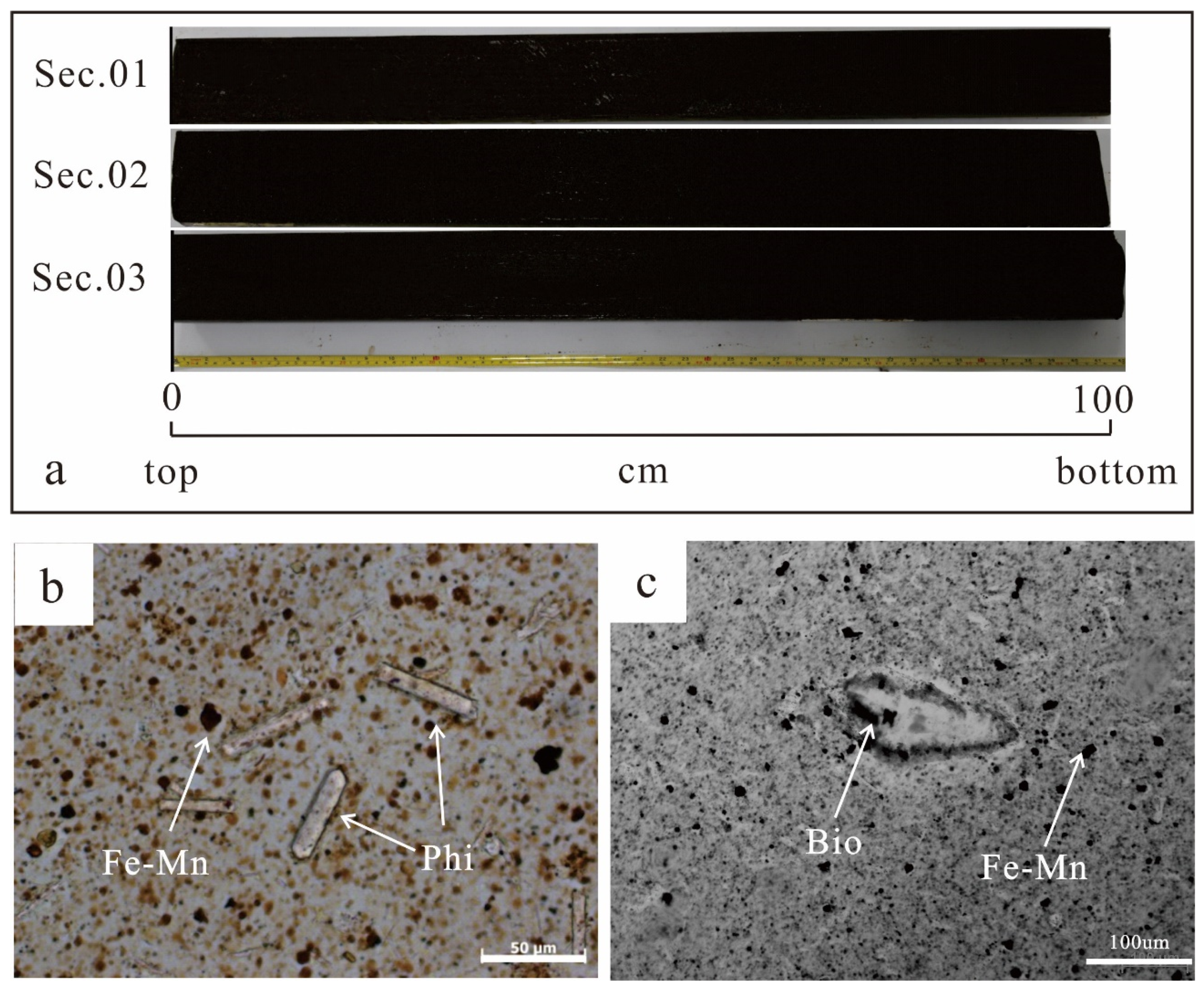 Minerals 10 01141 g002