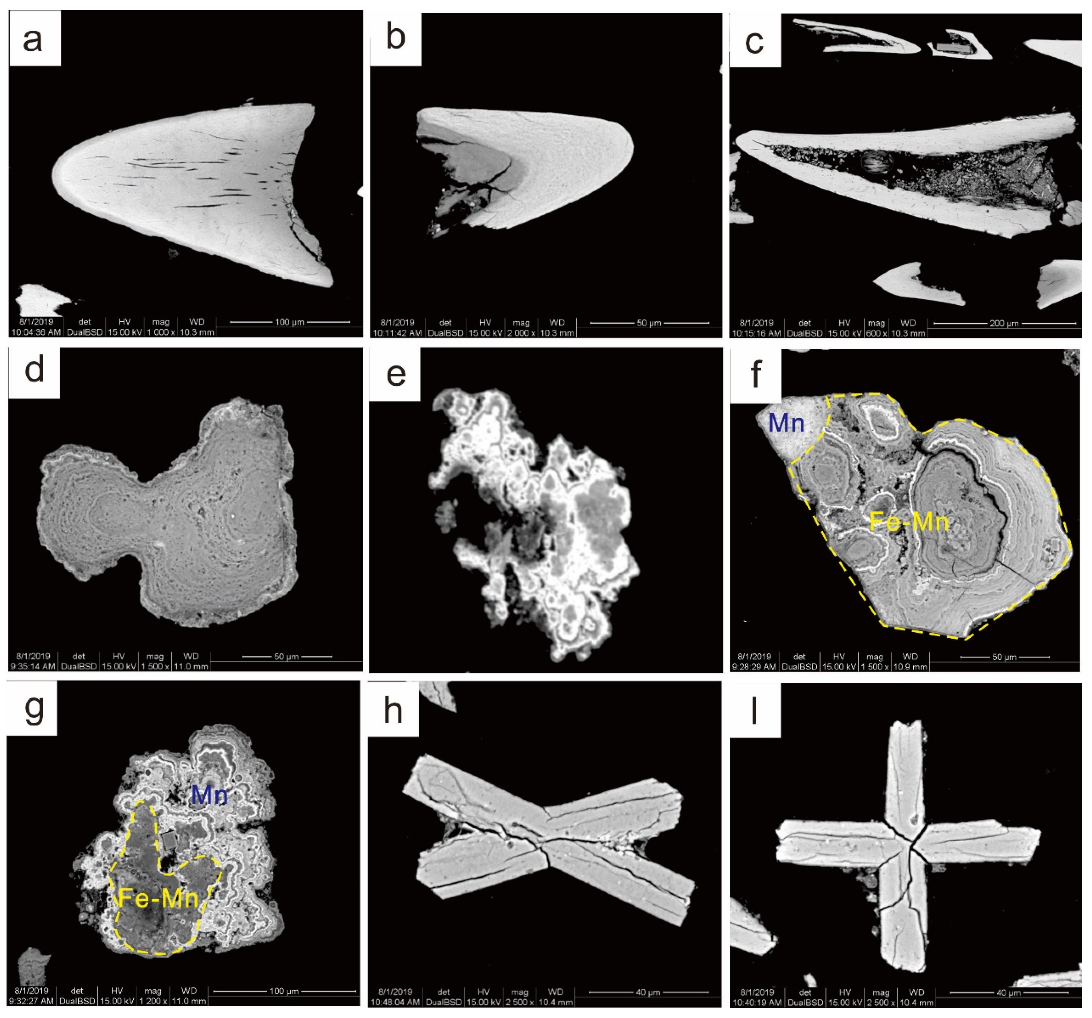 Minerals 10 01141 g004