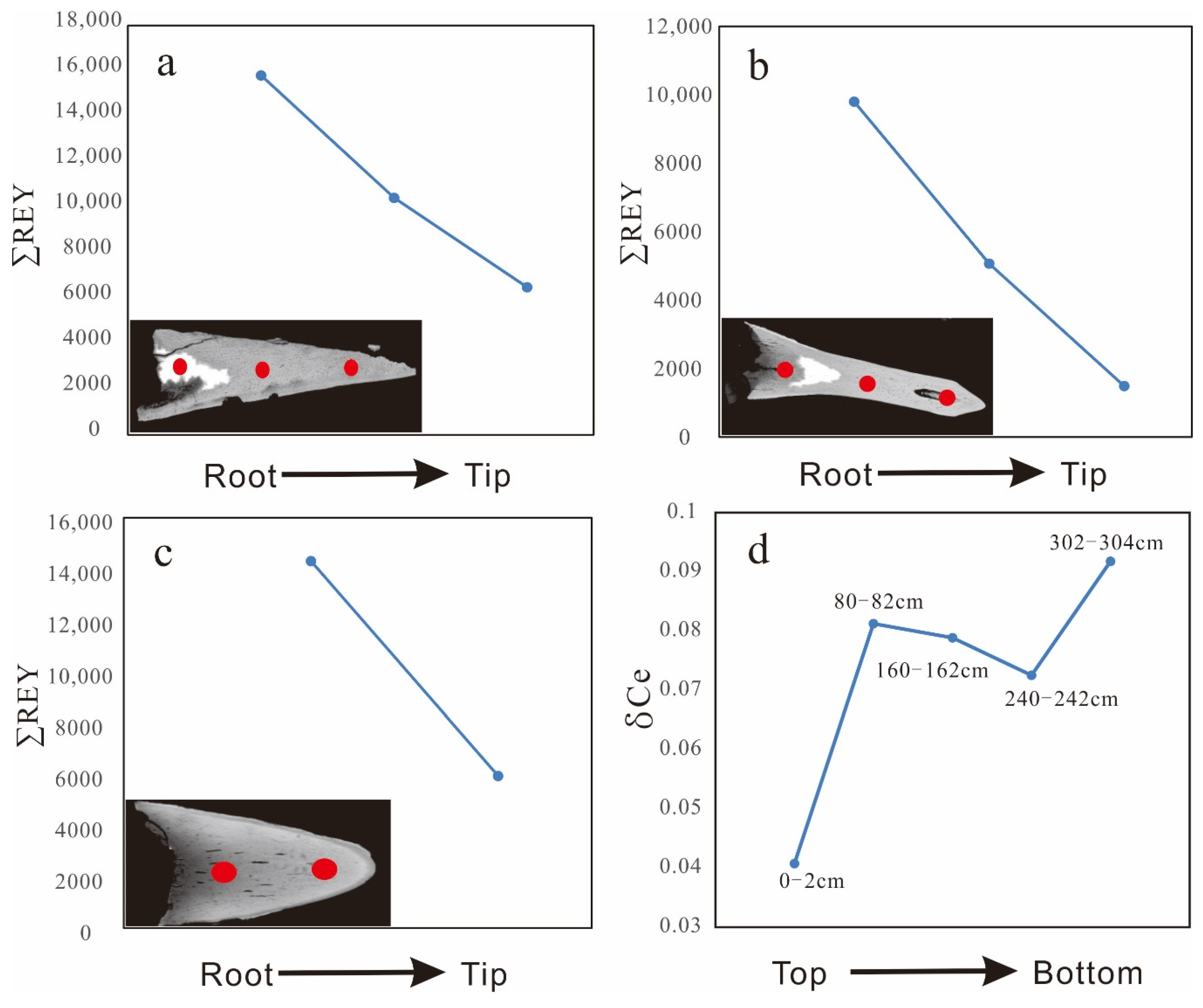 Minerals 10 01141 g008