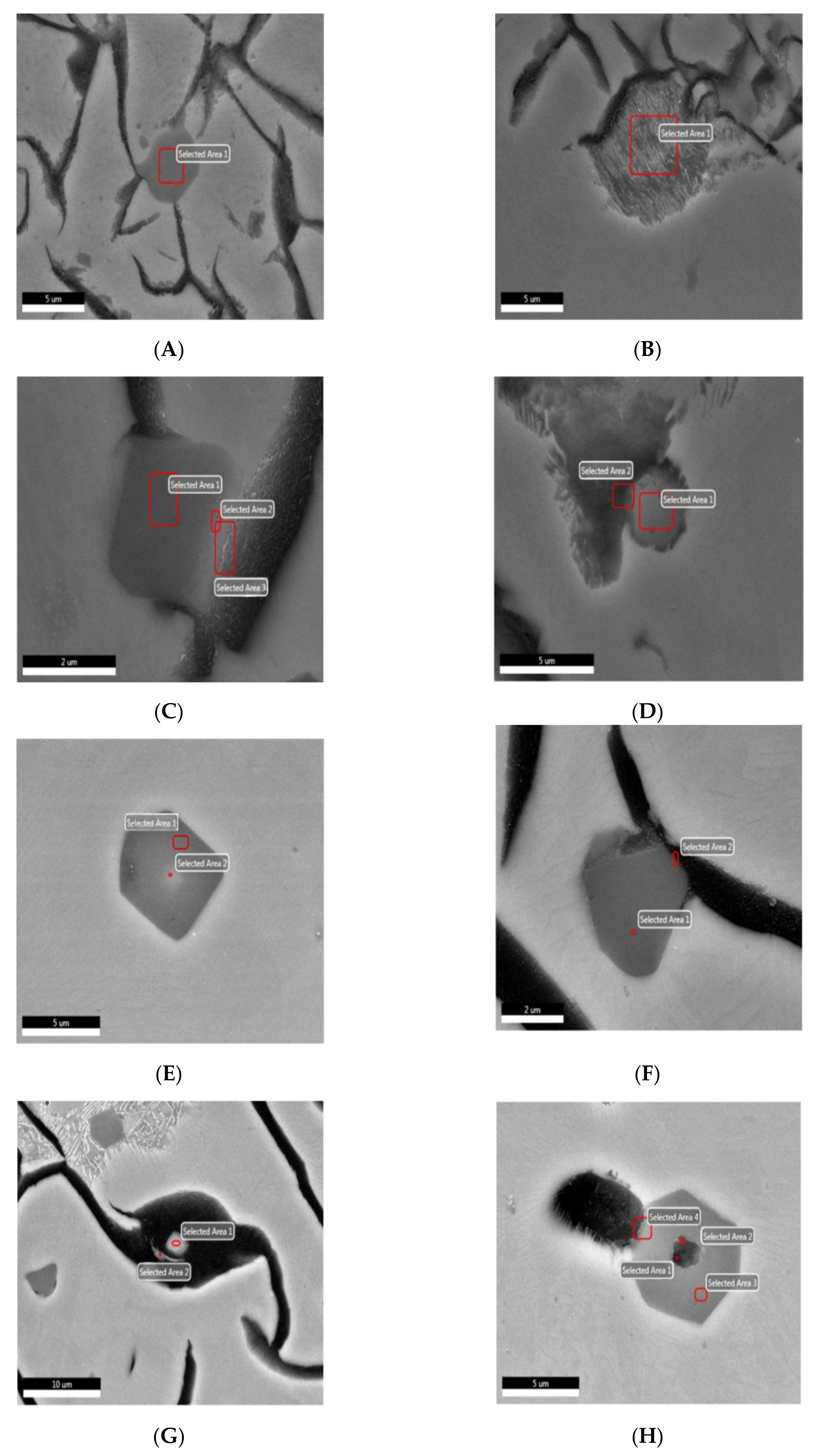 Minerals 10 01146 g006