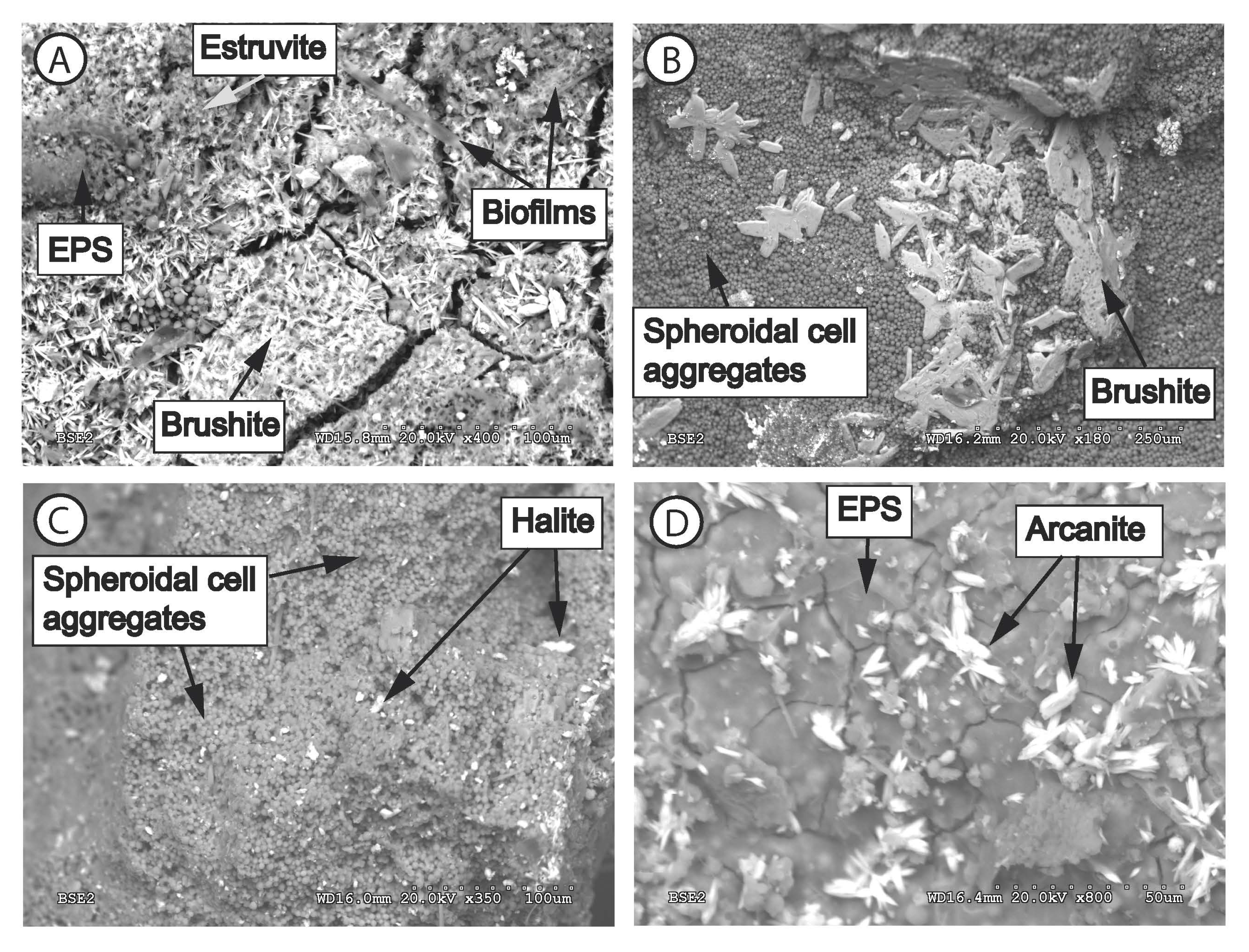 Minerals 11 00018 g006