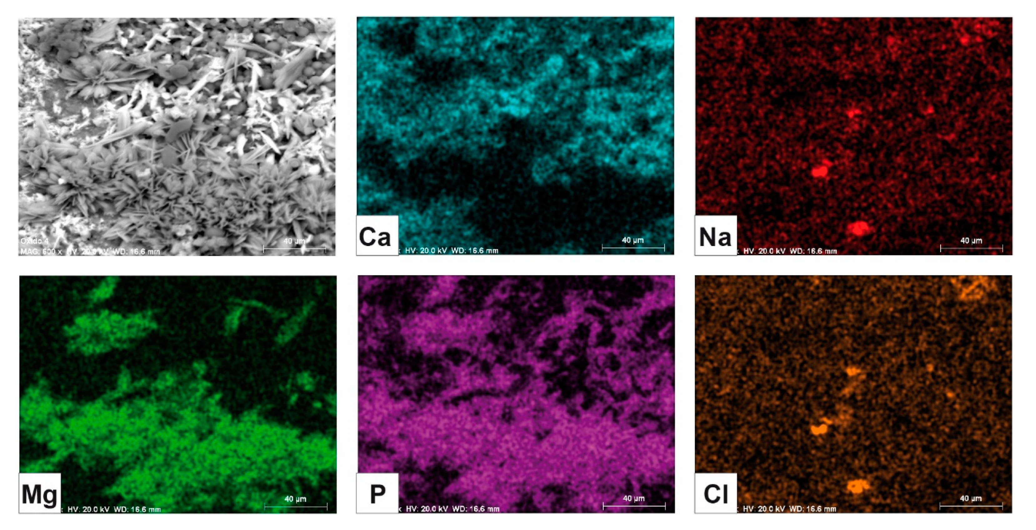 Minerals 11 00018 g007