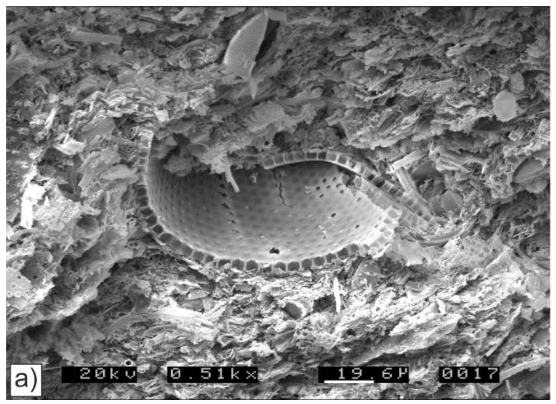 Minerals 11 00071 g007a