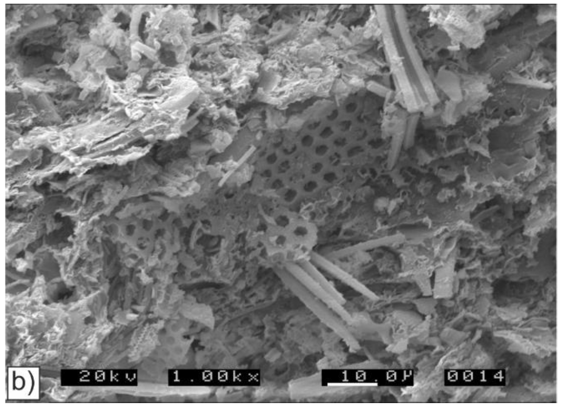 Minerals 11 00071 g007b