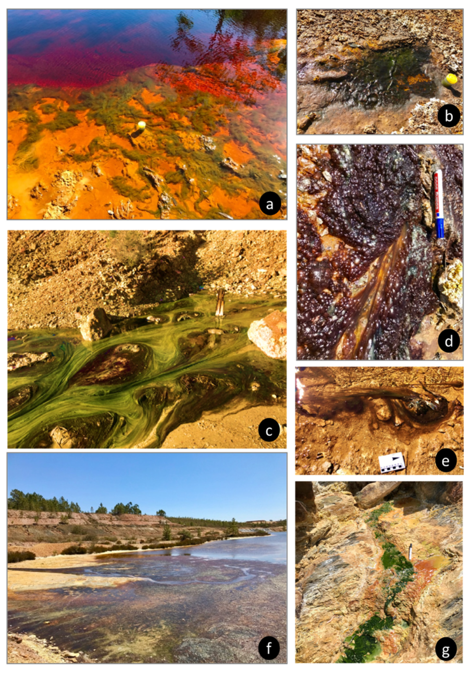 Minerals 11 00110 g004