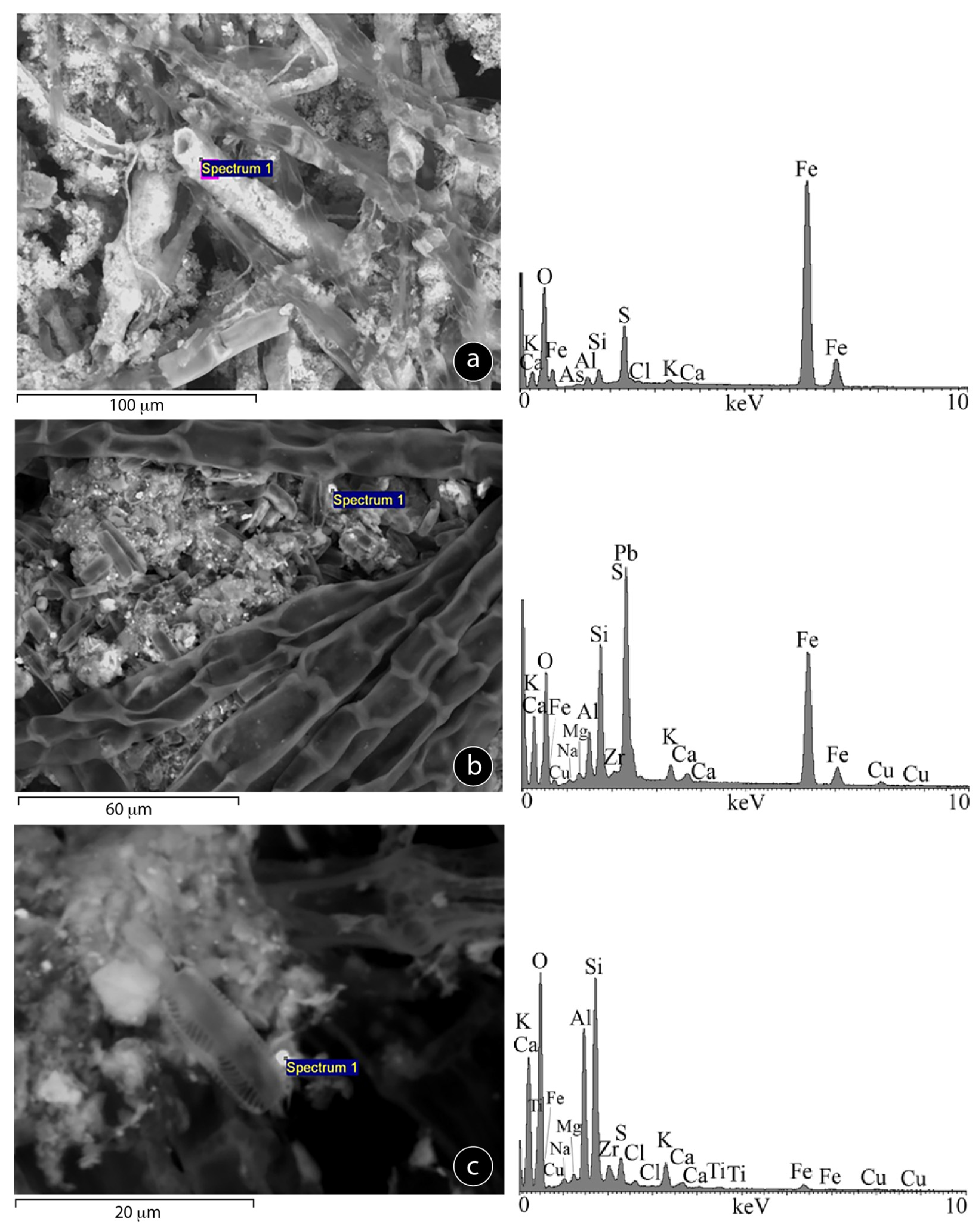 Minerals 11 00110 g006