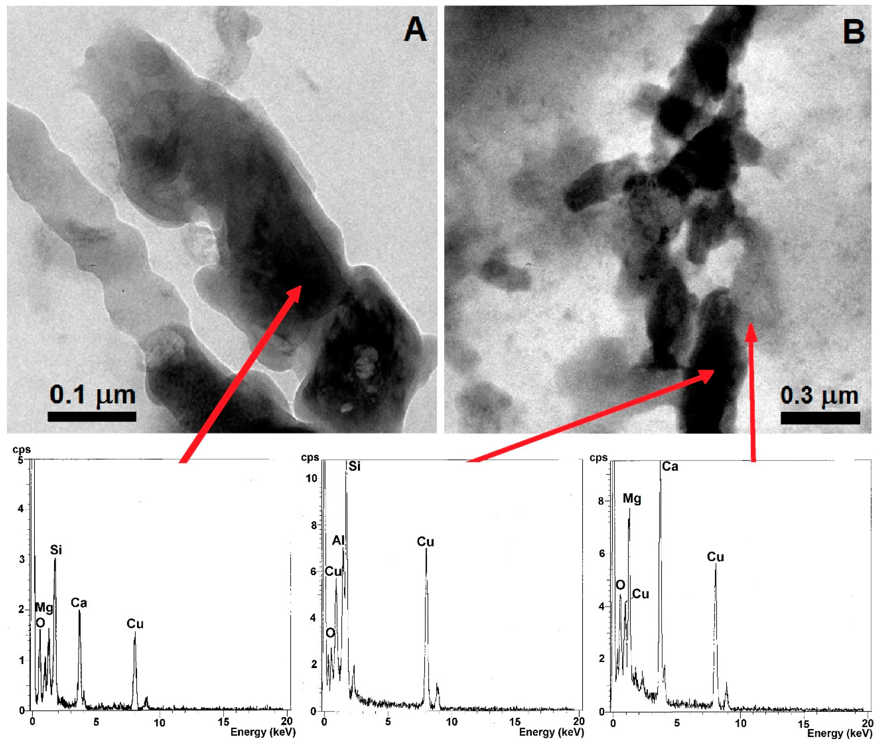 Minerals 11 00125 g005