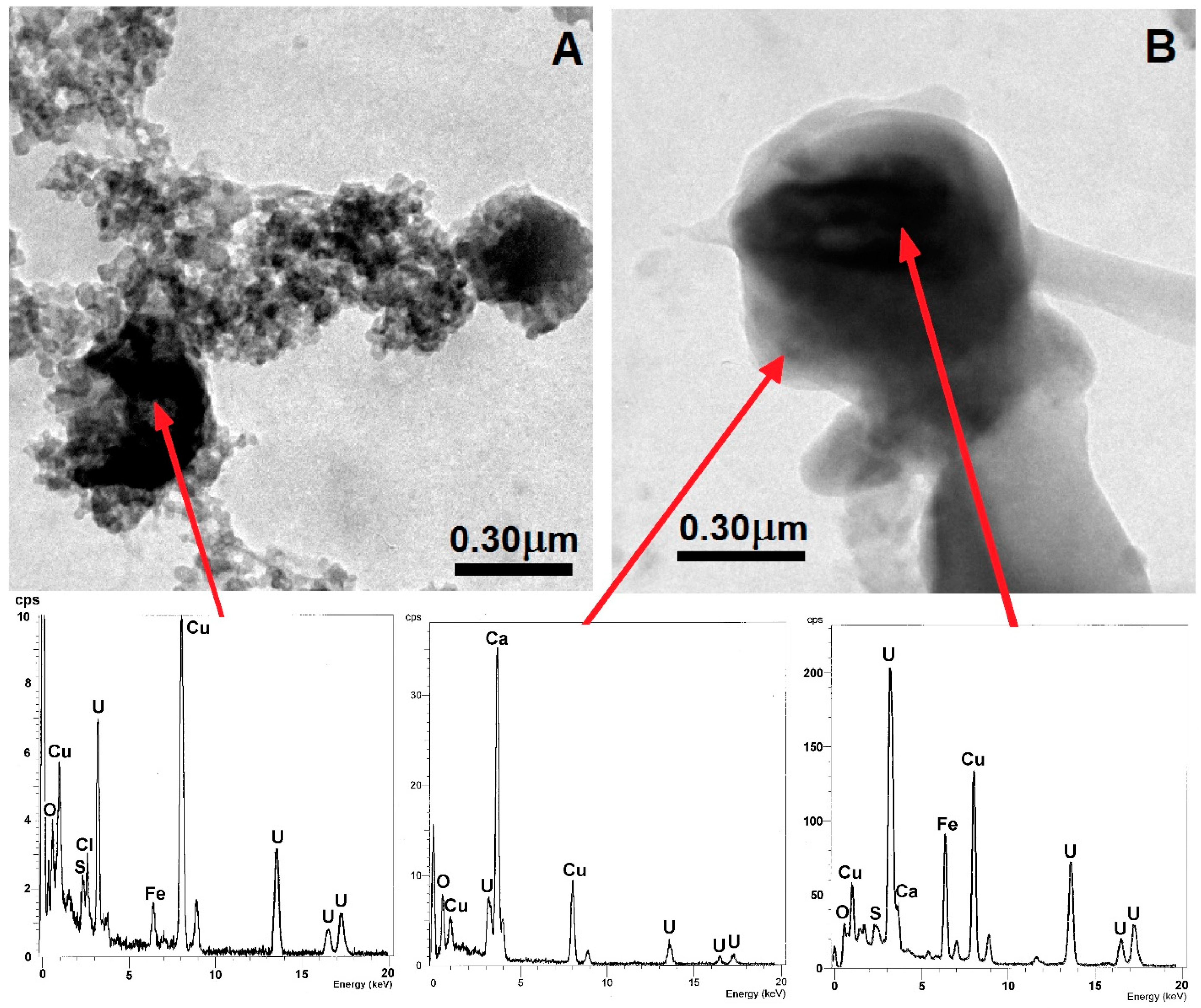 Minerals 11 00125 g006