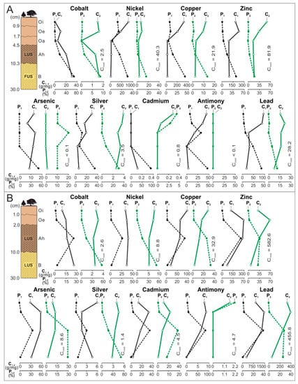 Minerals 11 00133 g003a