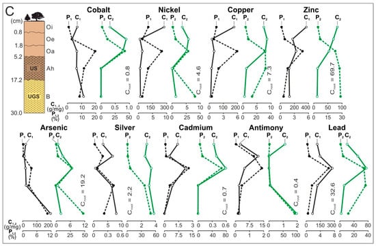 Minerals 11 00133 g003b