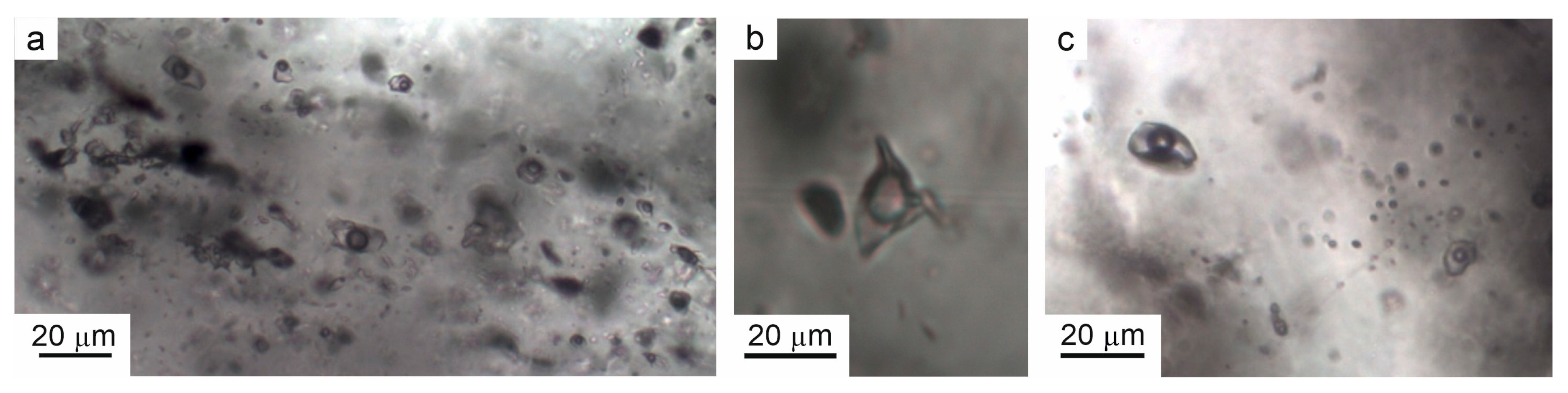 Minerals 11 00144 g005