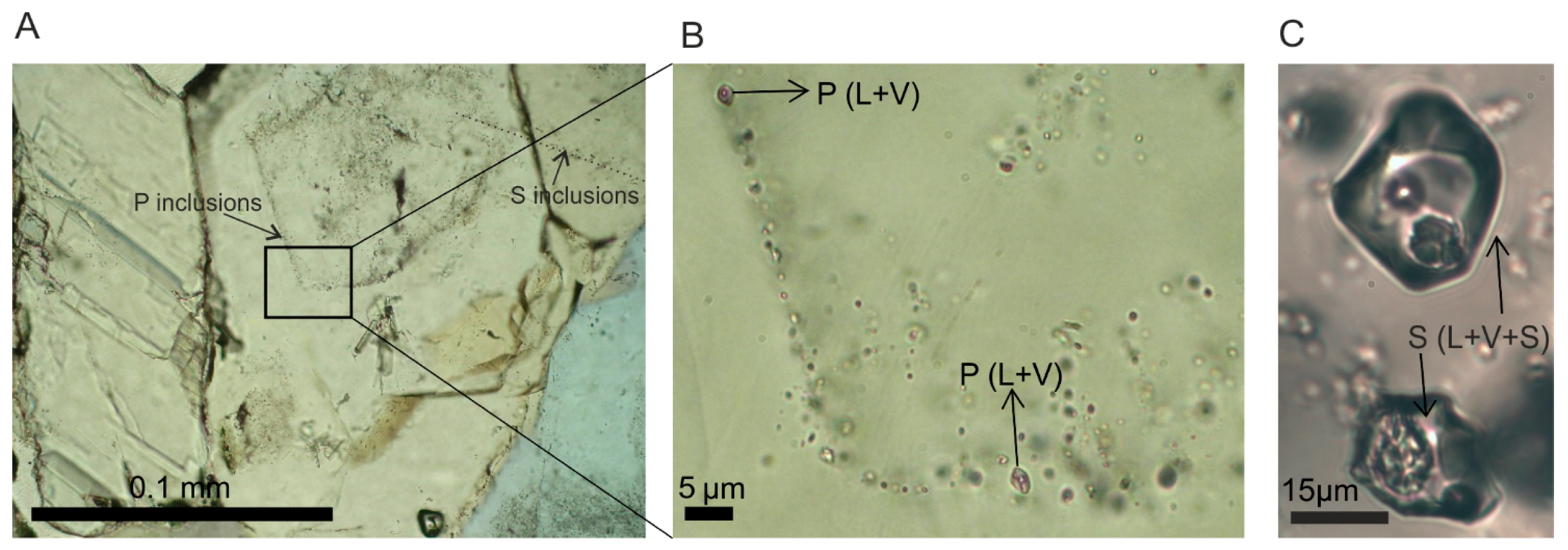 Minerals 11 00165 g008