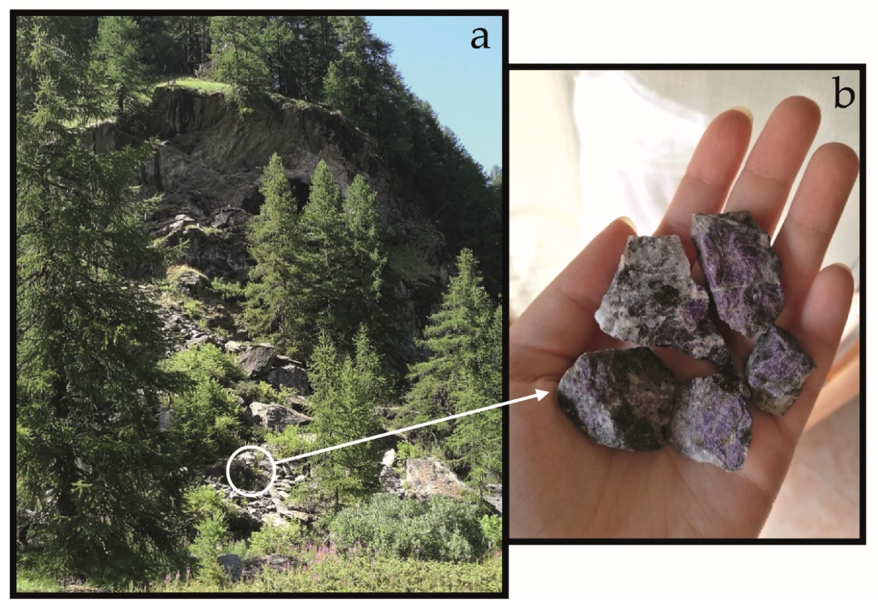 Minerals 11 00171 g001