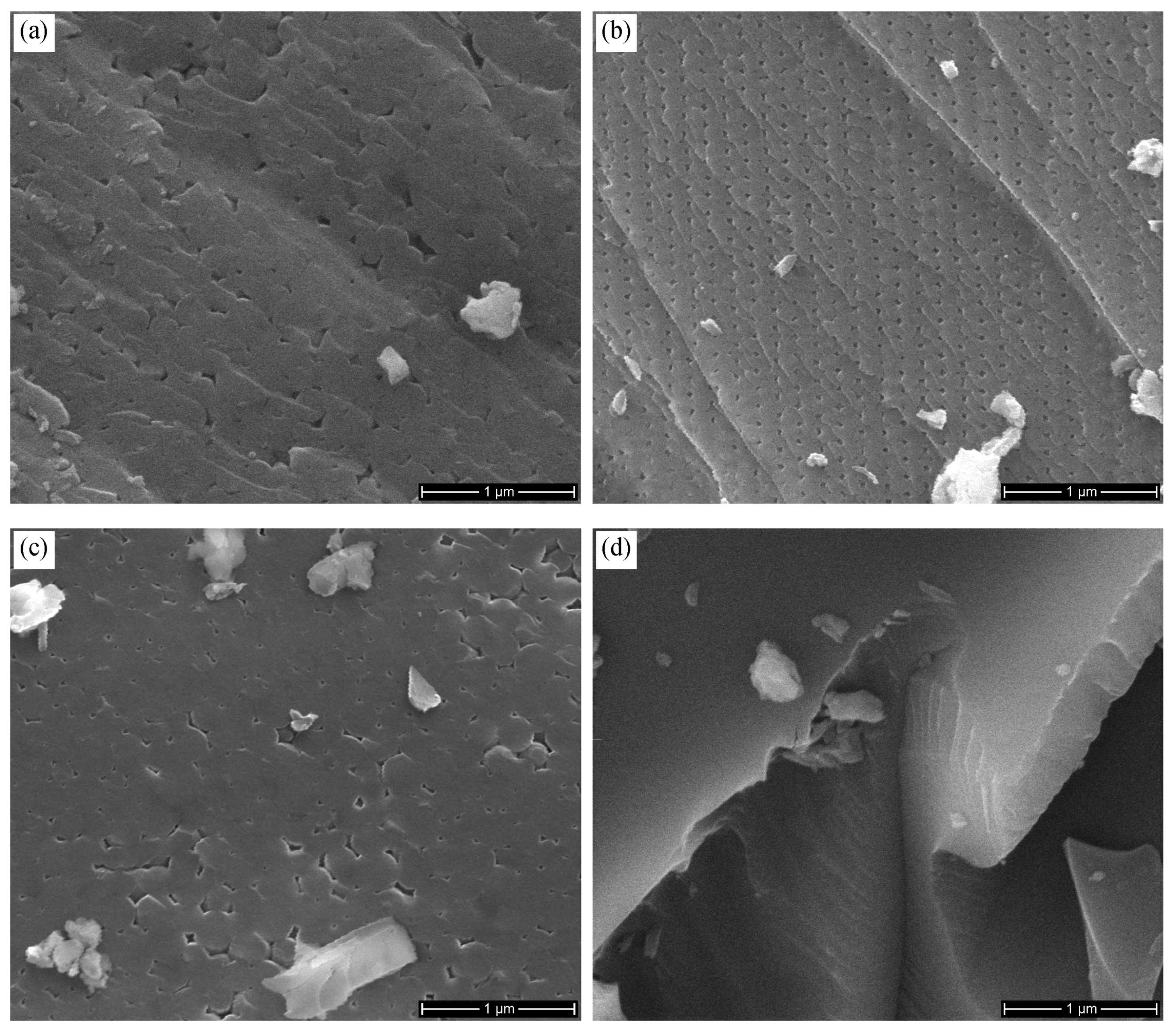 Minerals 11 00173 g001 Minerals 11 00173 g001