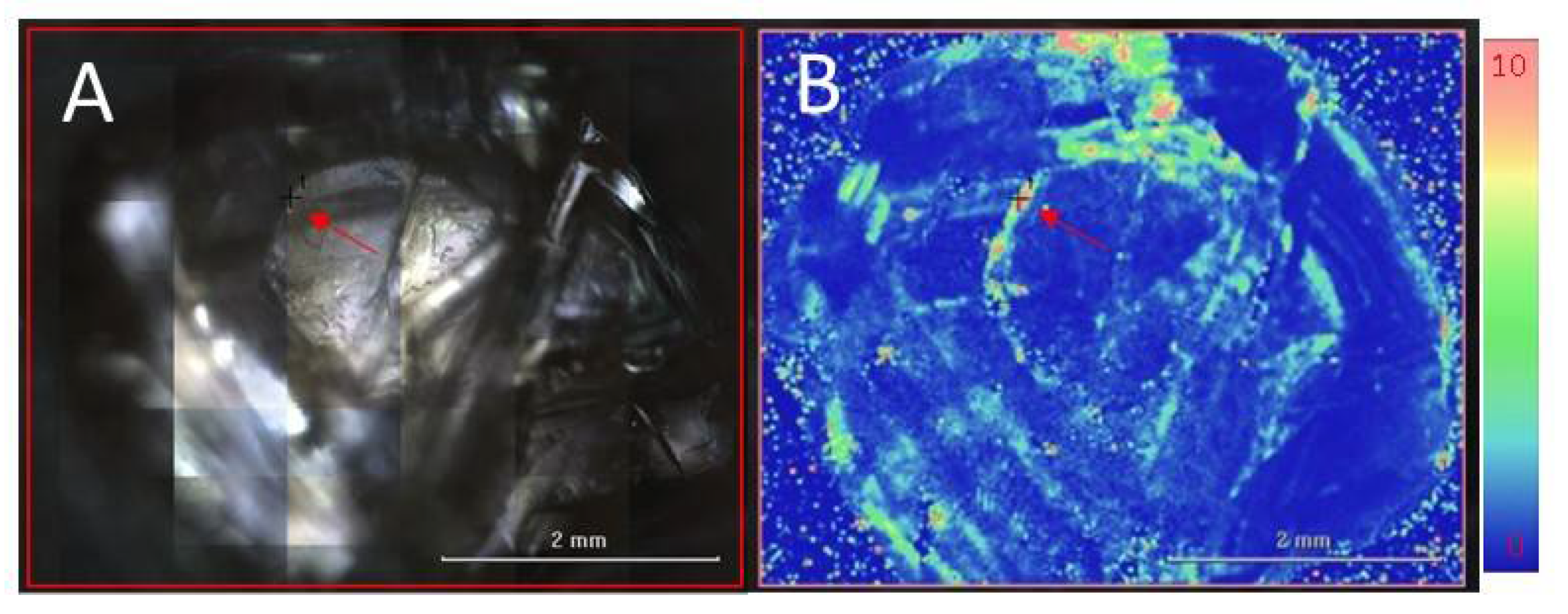 Minerals 11 00177 g010