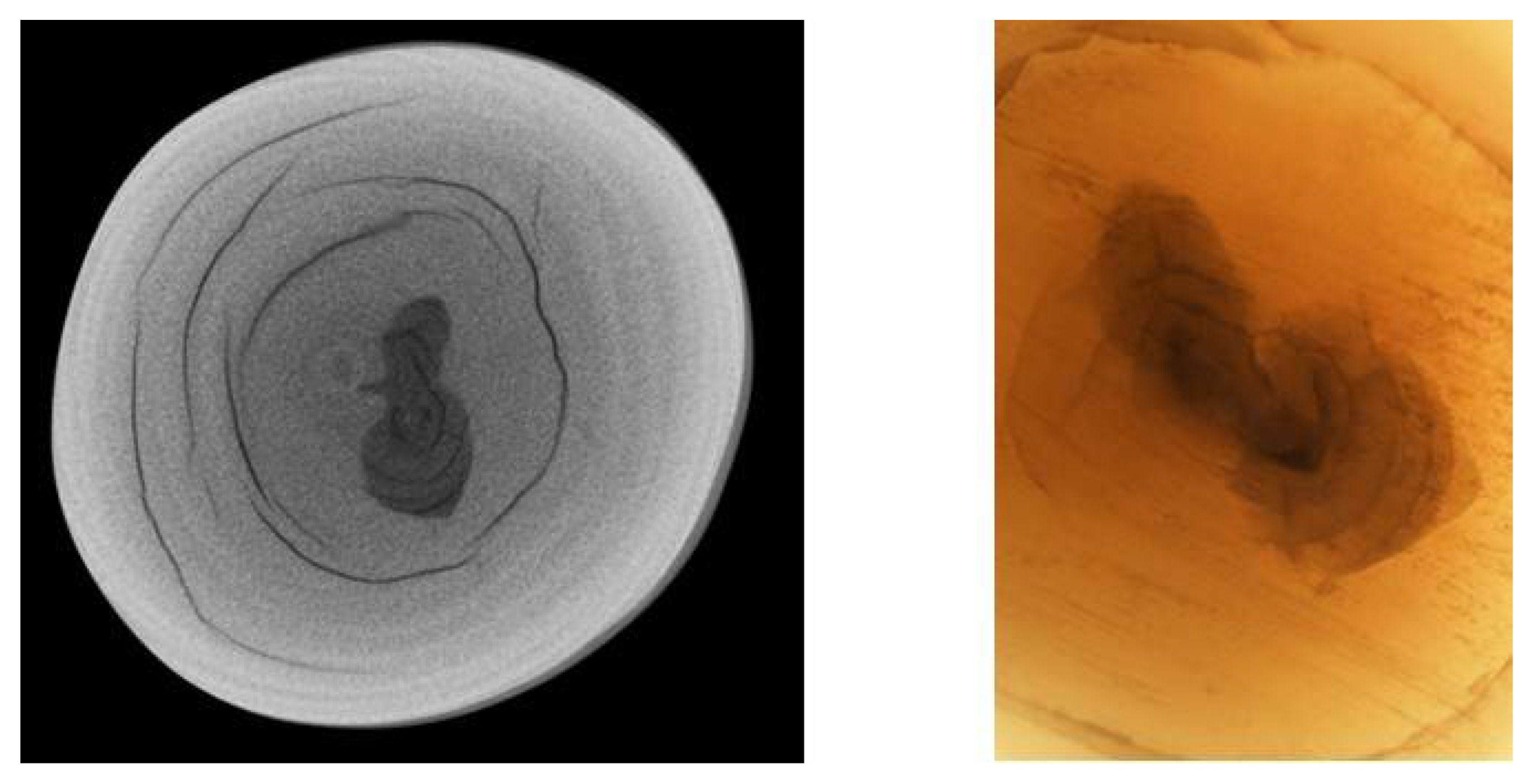 Minerals 11 00177 g033