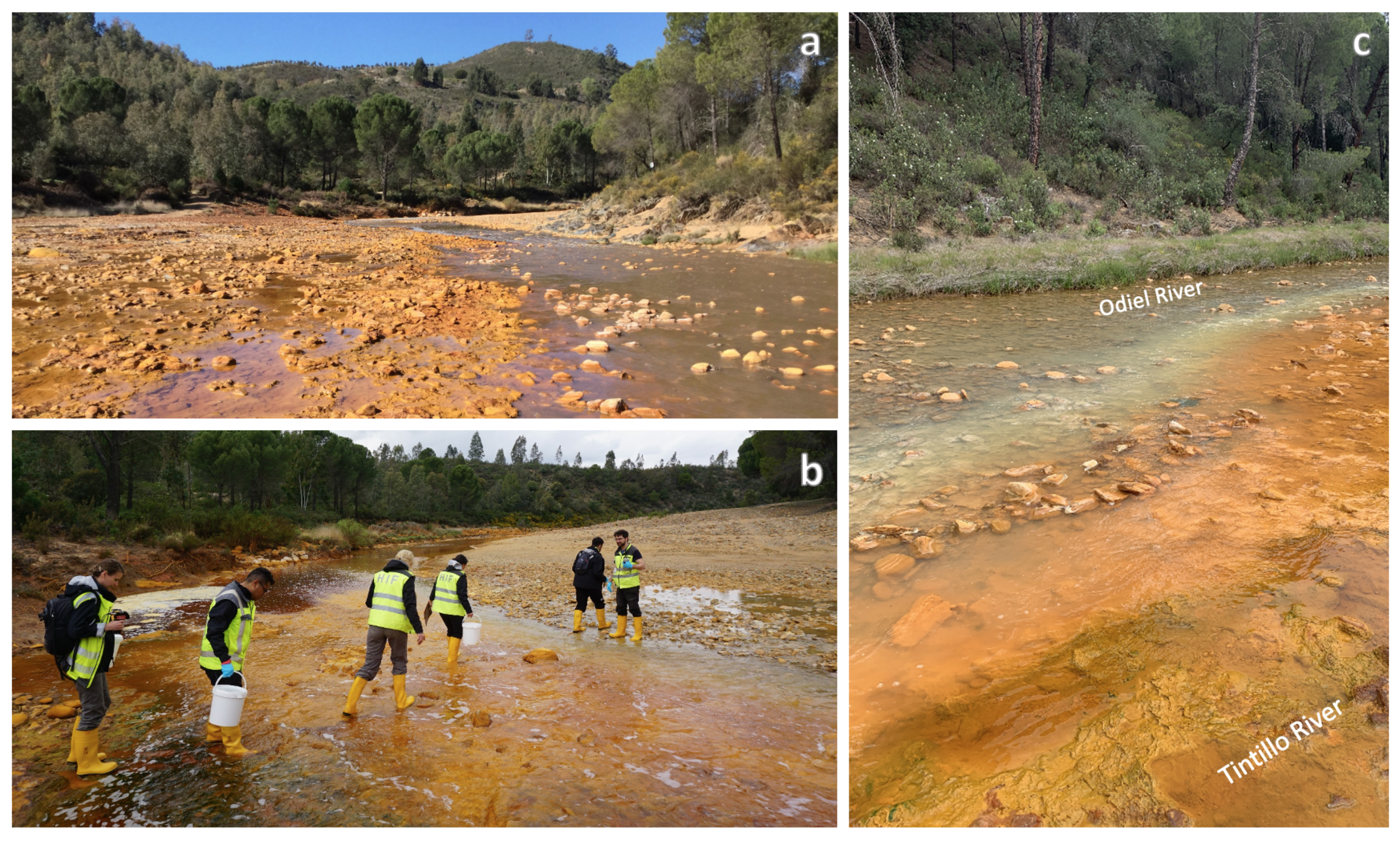 Minerals 11 00182 g002