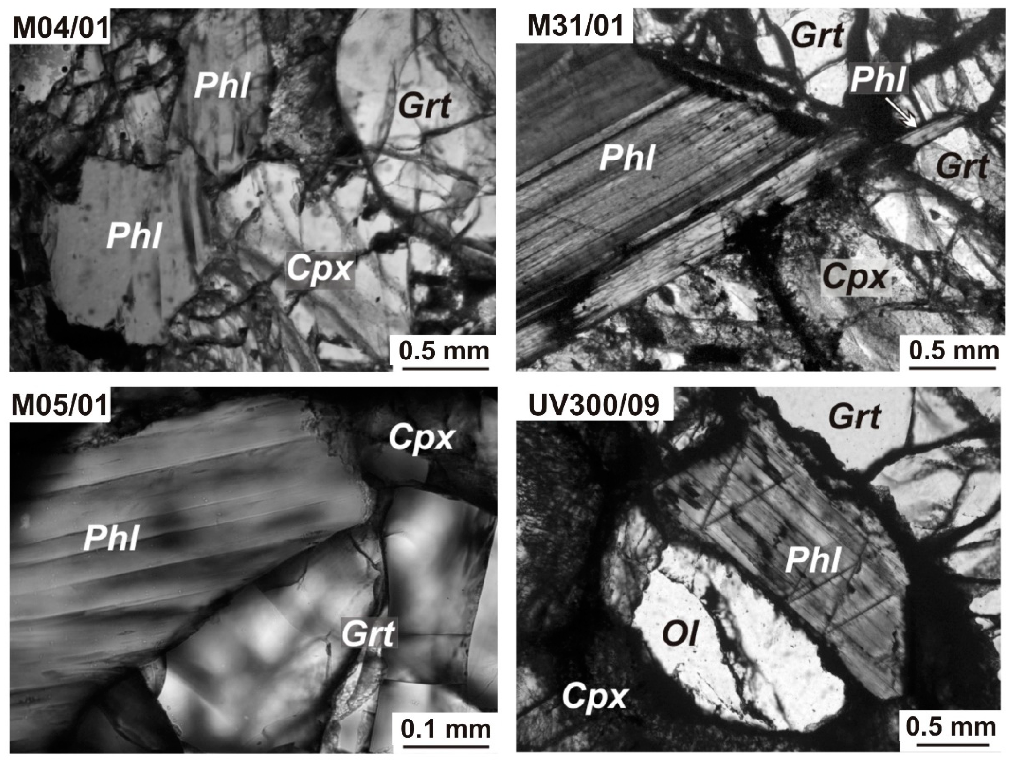 Minerals 11 00192 g001