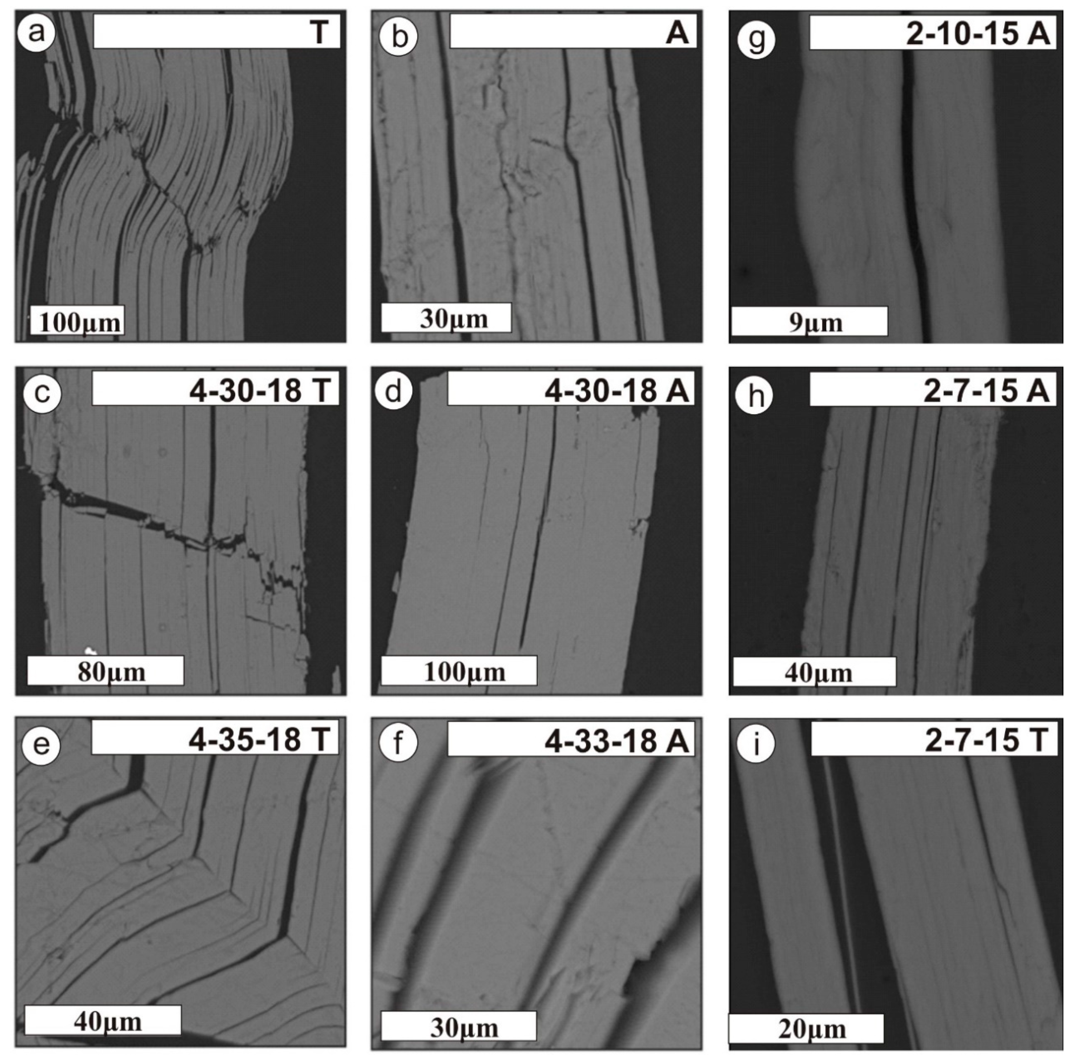 Minerals 11 00192 g003