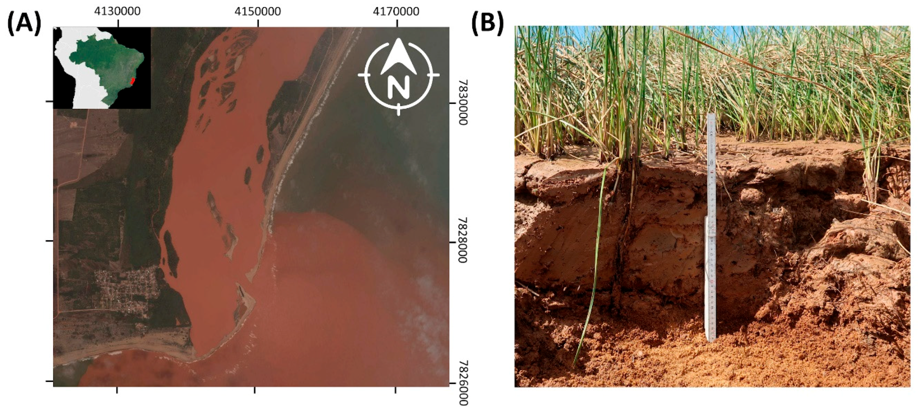 Minerals 11 00201 g001