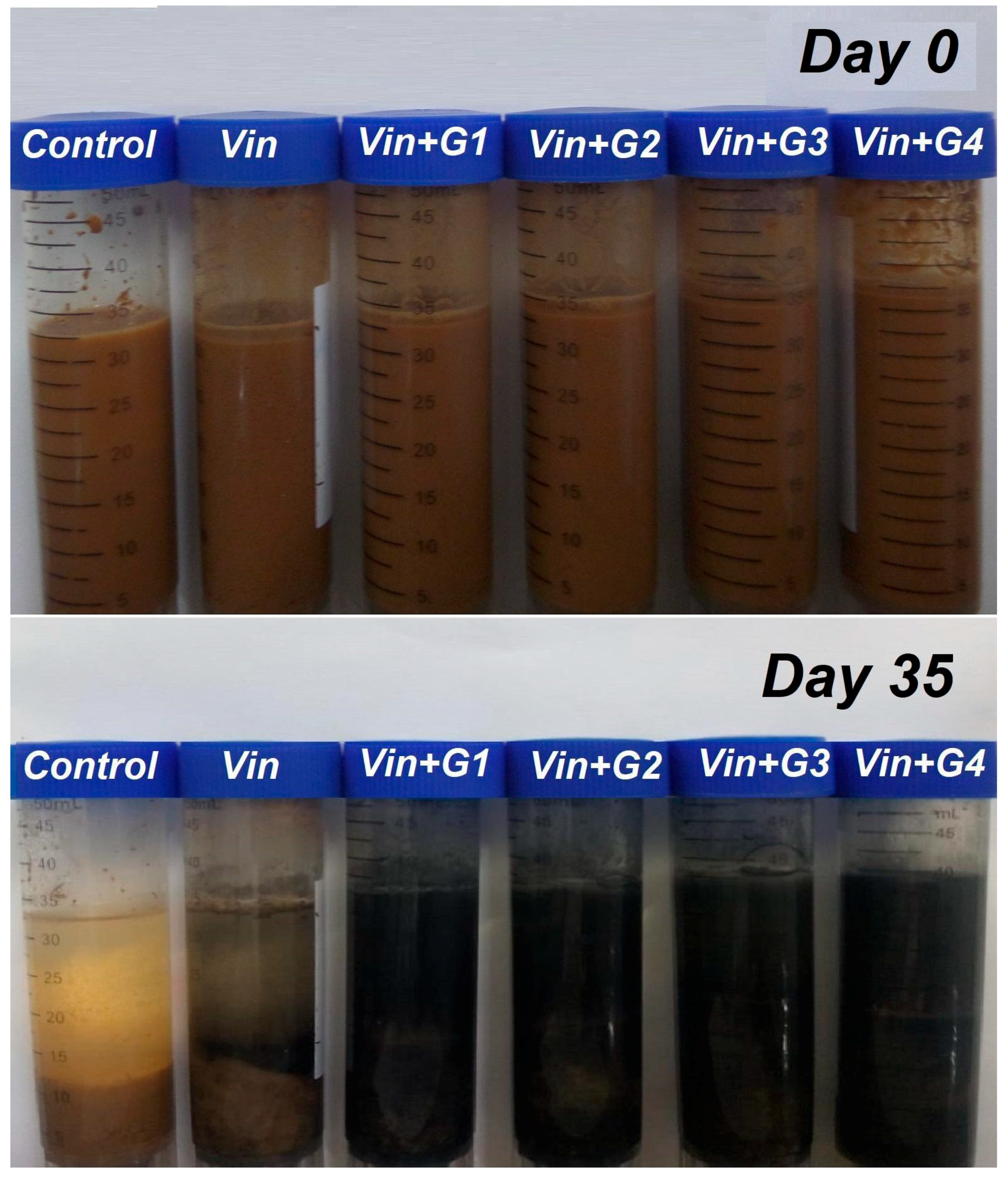 Minerals 11 00201 g004