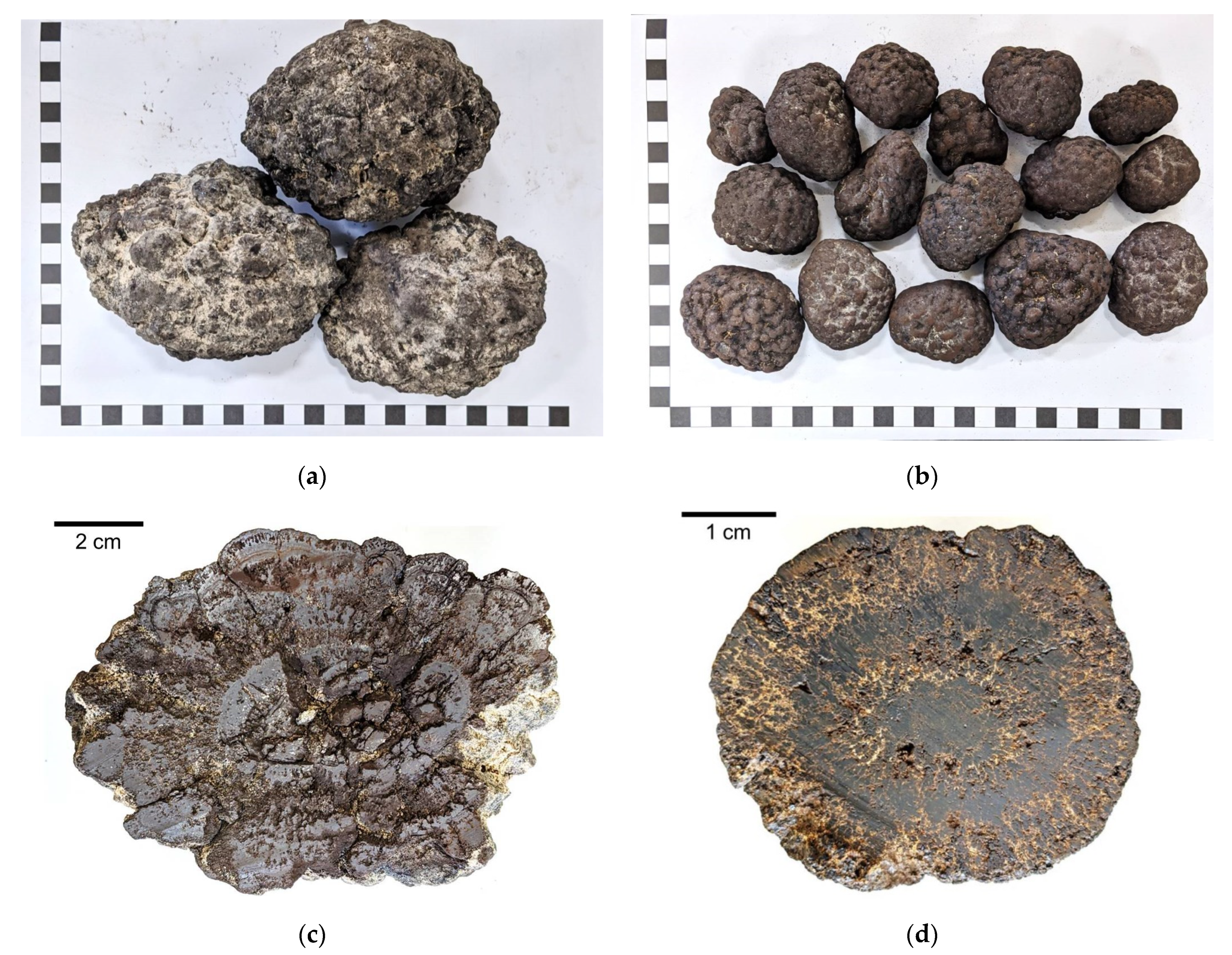 Minerals 11 00205 g002 Minerals 11 00205 g002