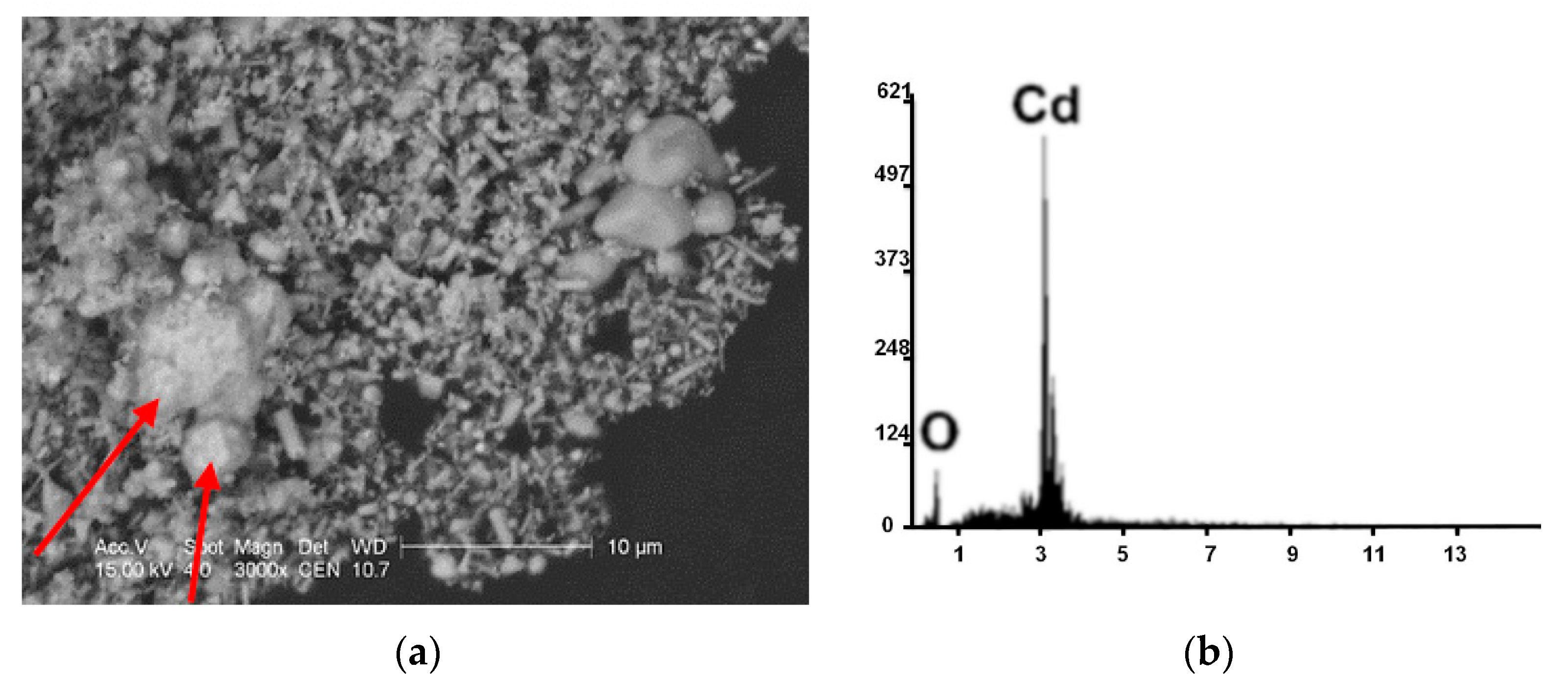 Minerals 11 00216 g010 Minerals 11 00216 g010