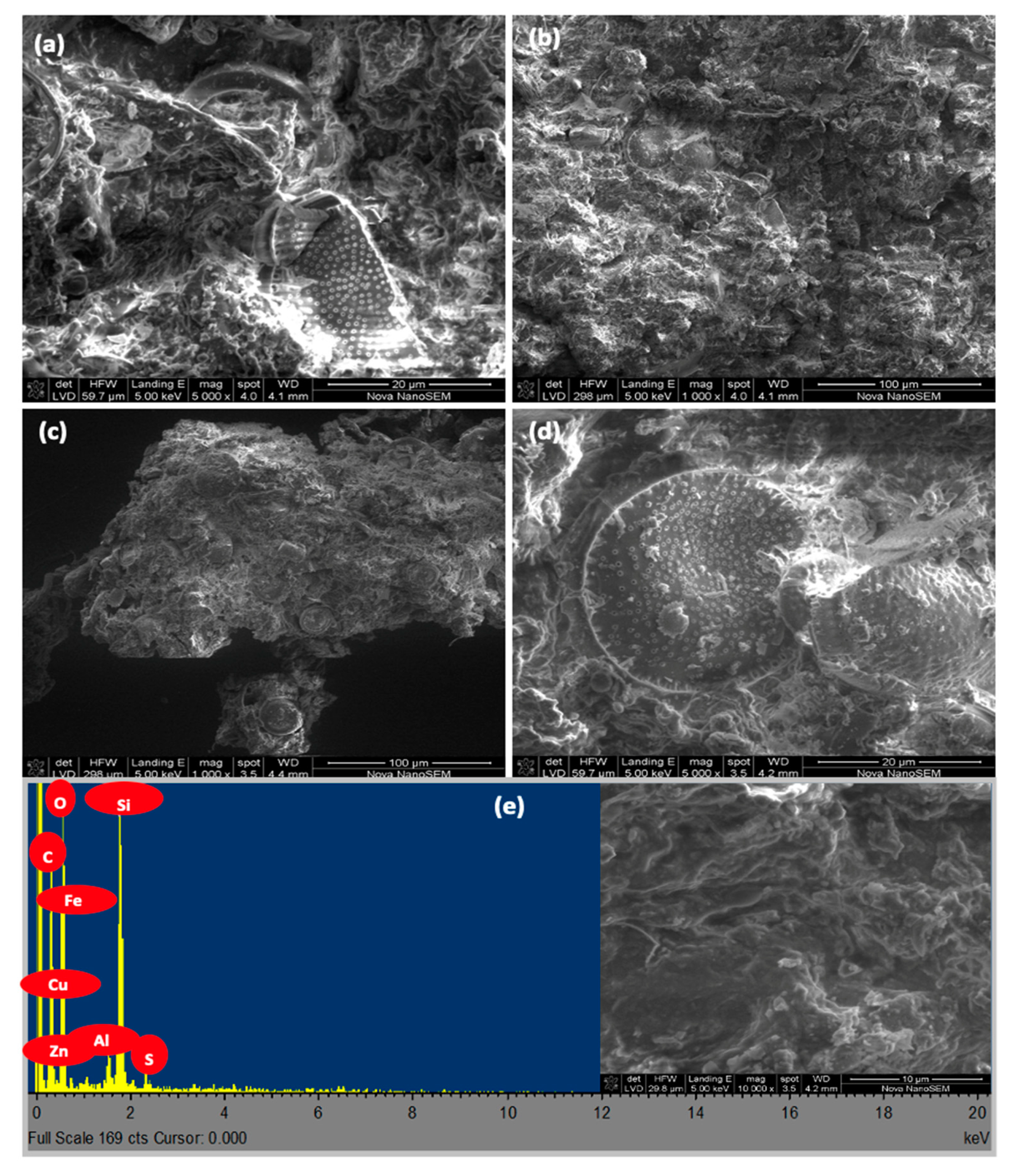 Minerals 11 00220 g010
