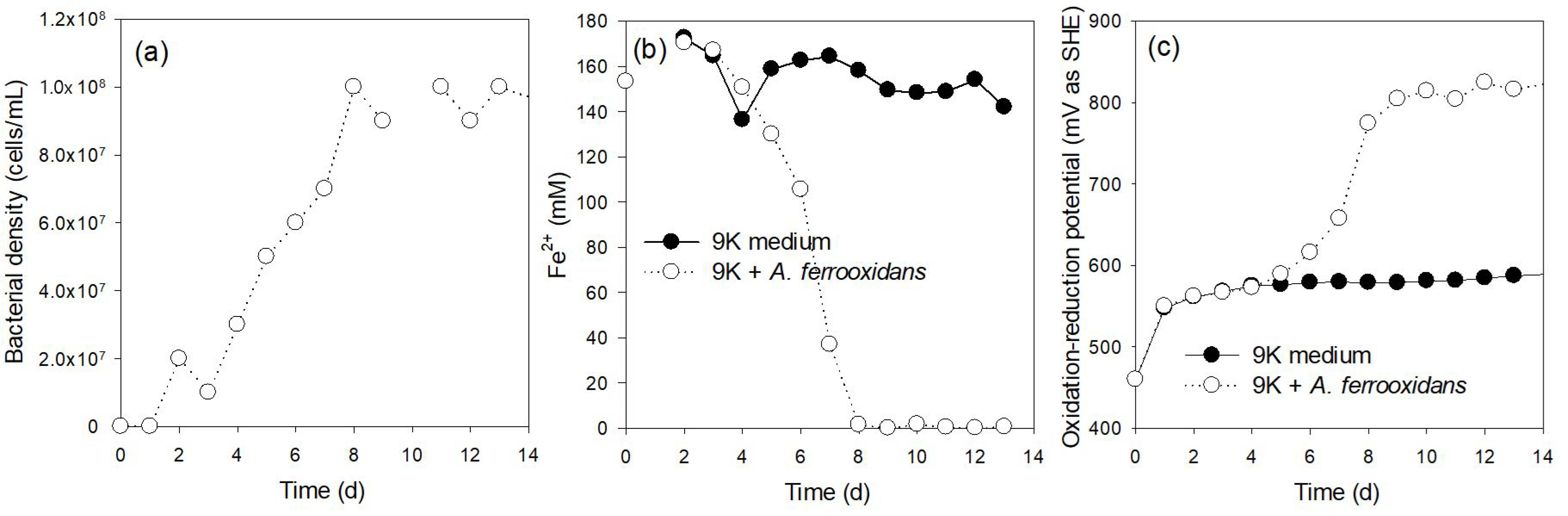 Minerals 11 00224 g001