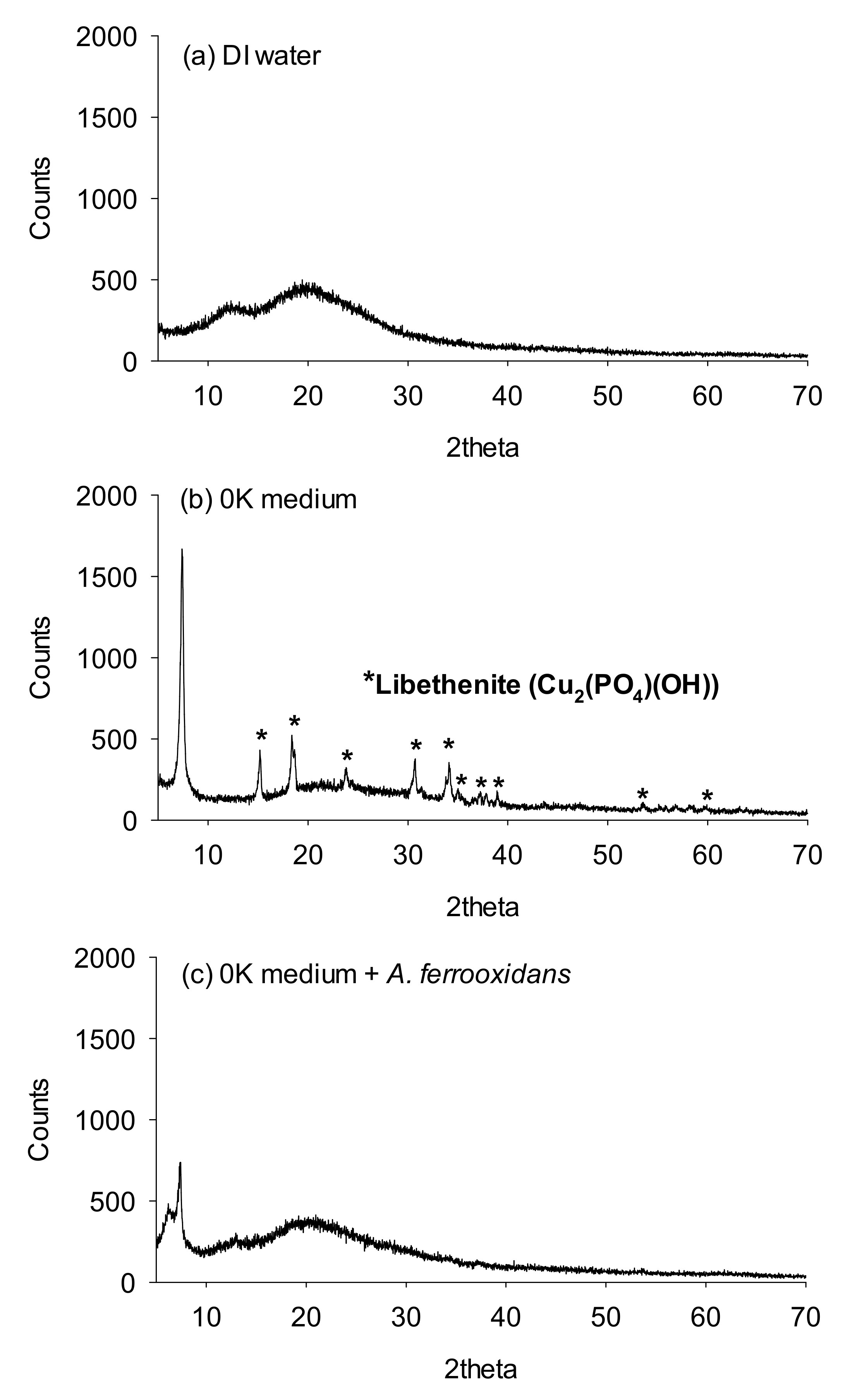 Minerals 11 00224 g003