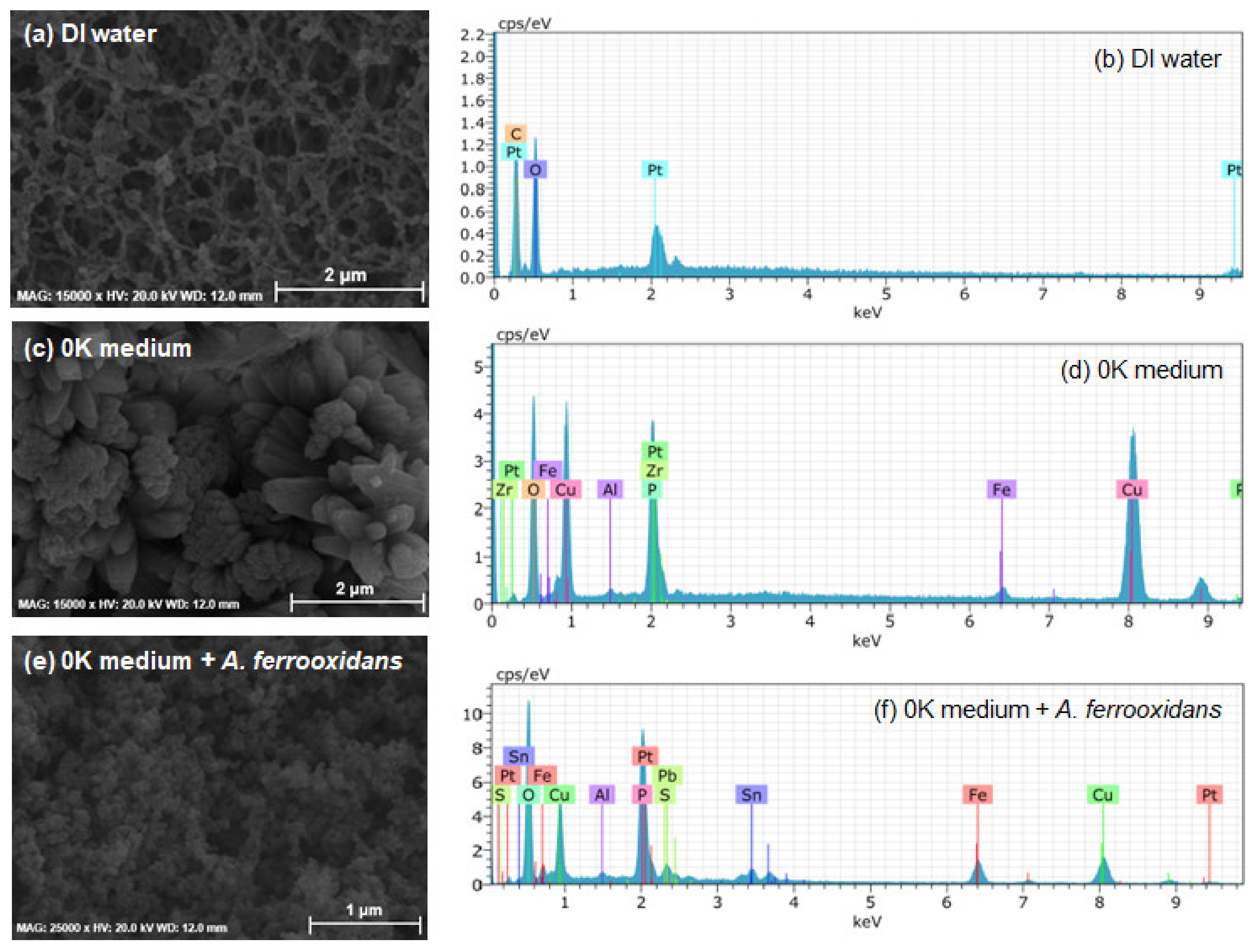 Minerals 11 00224 g004