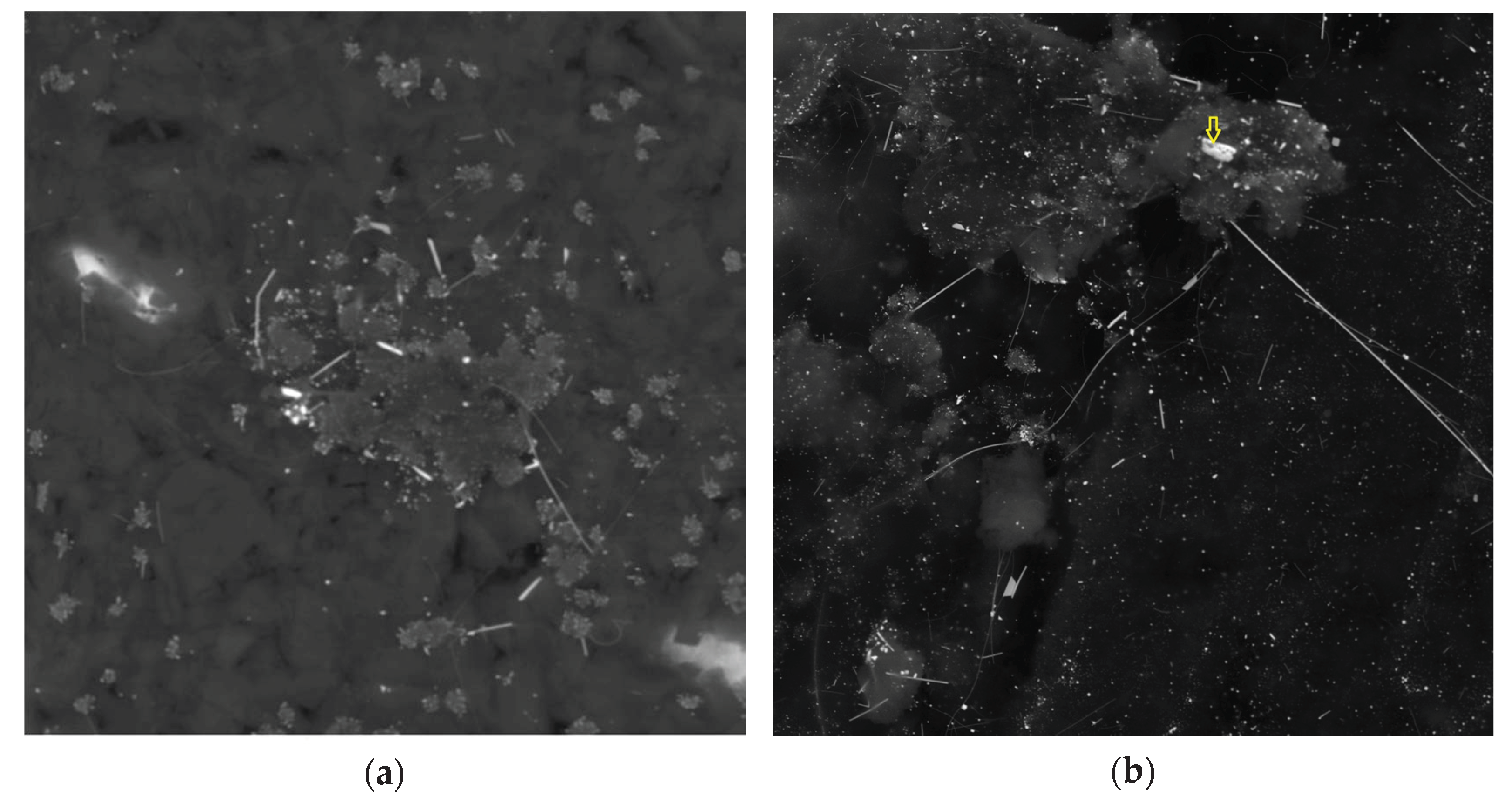 Minerals 11 00225 g006 Minerals 11 00225 g006