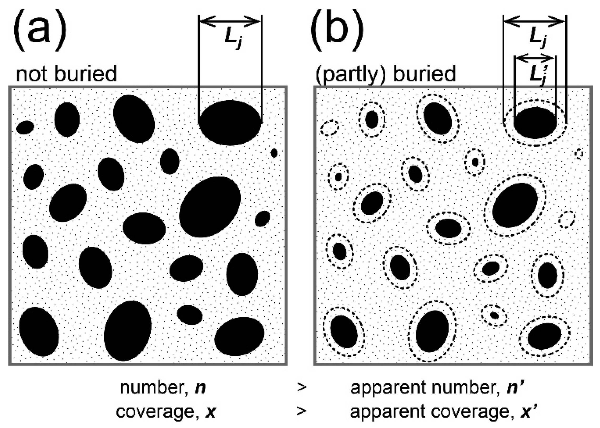 Minerals 11 00227 g001