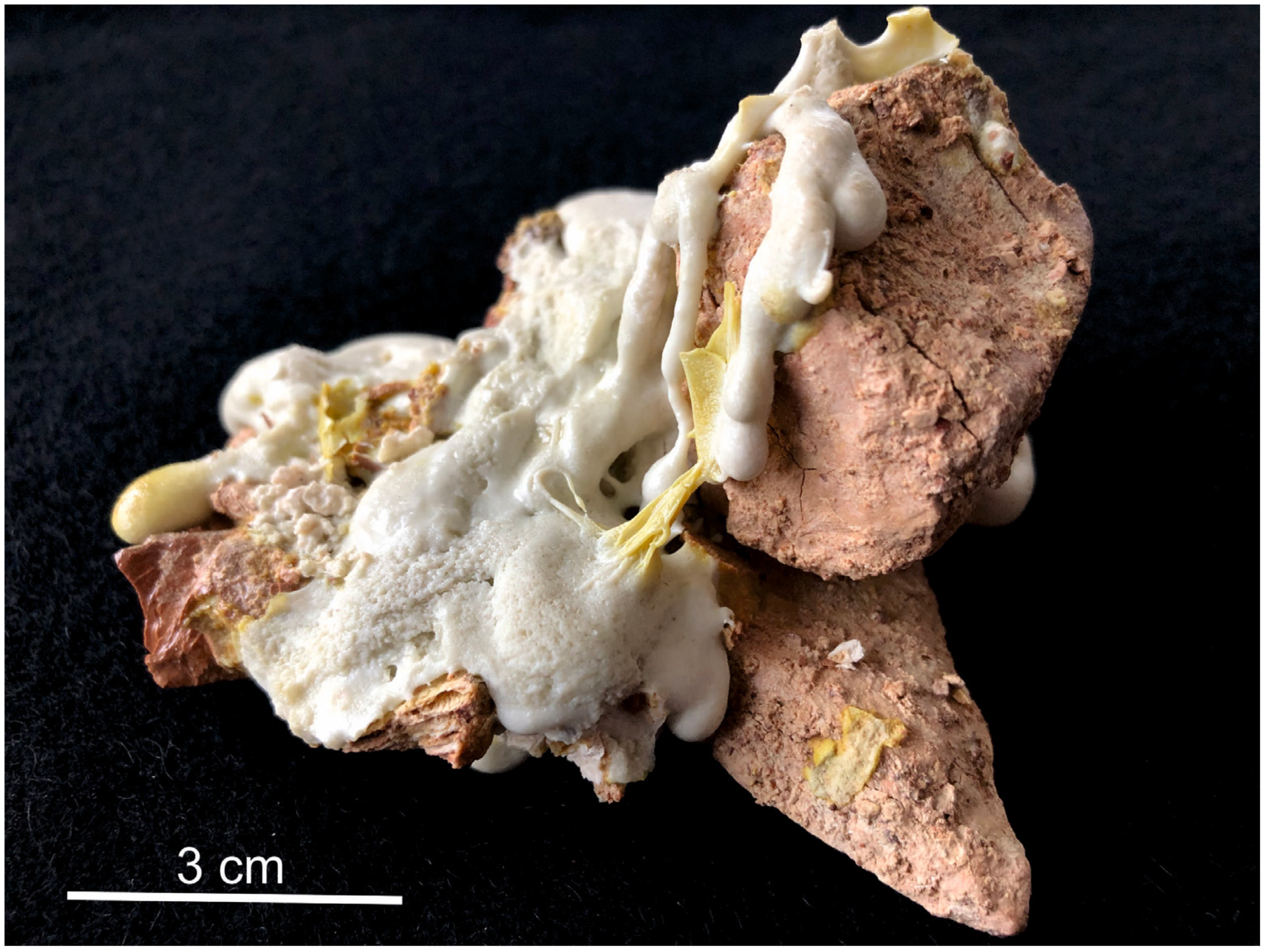 Minerals 11 00228 g003