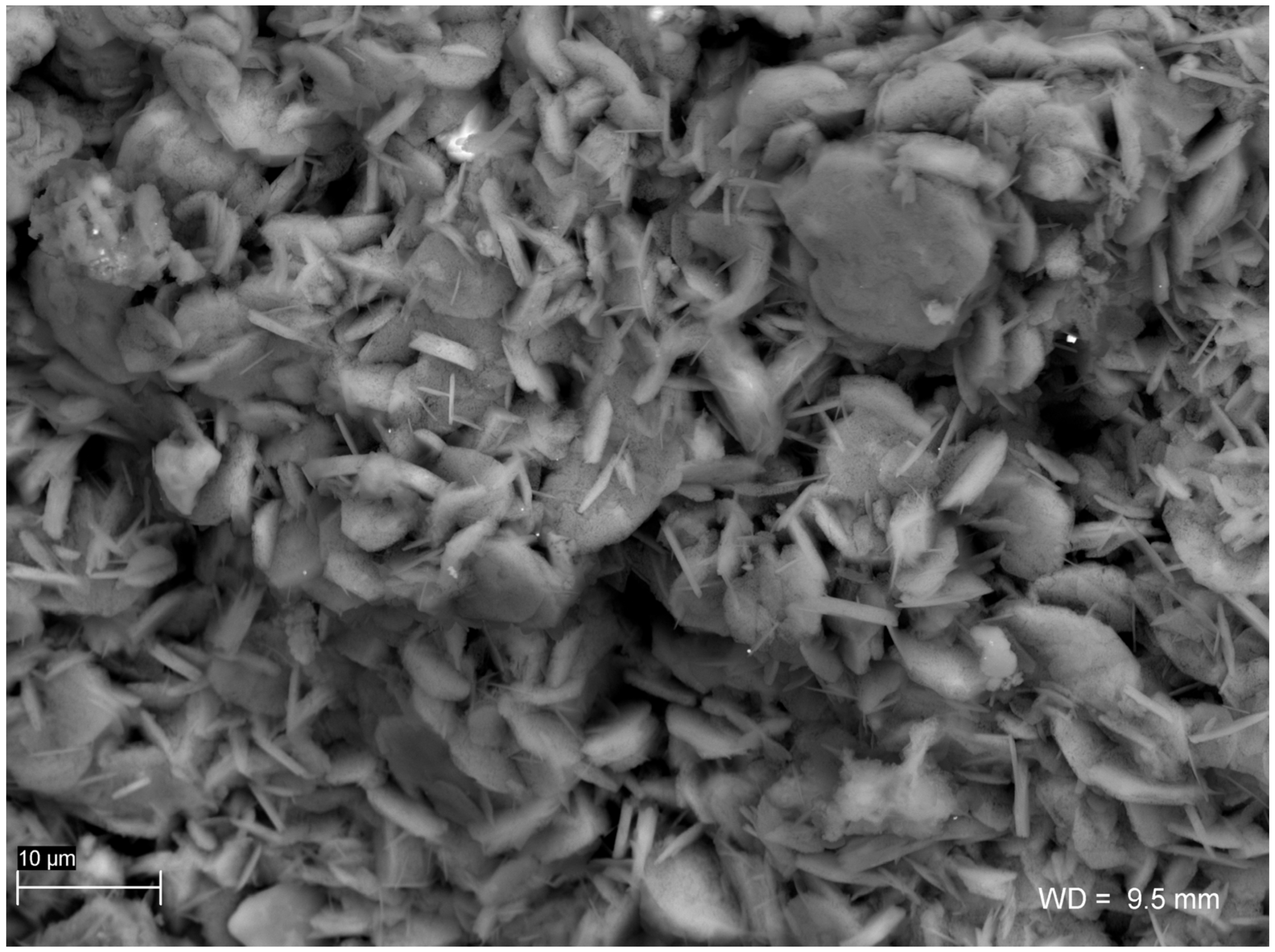 Minerals 11 00228 g005