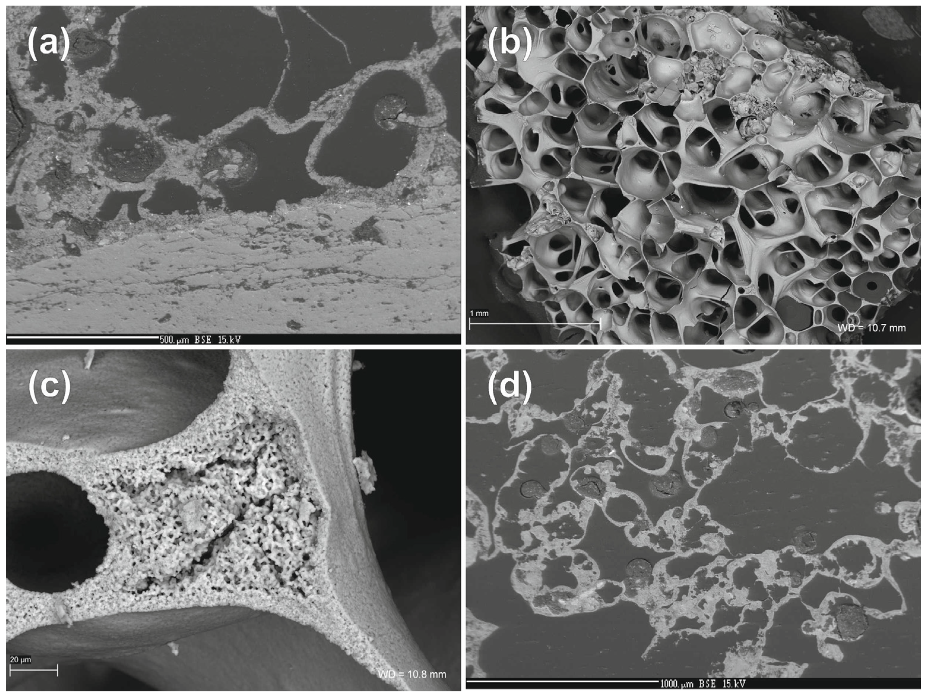 Minerals 11 00228 g008