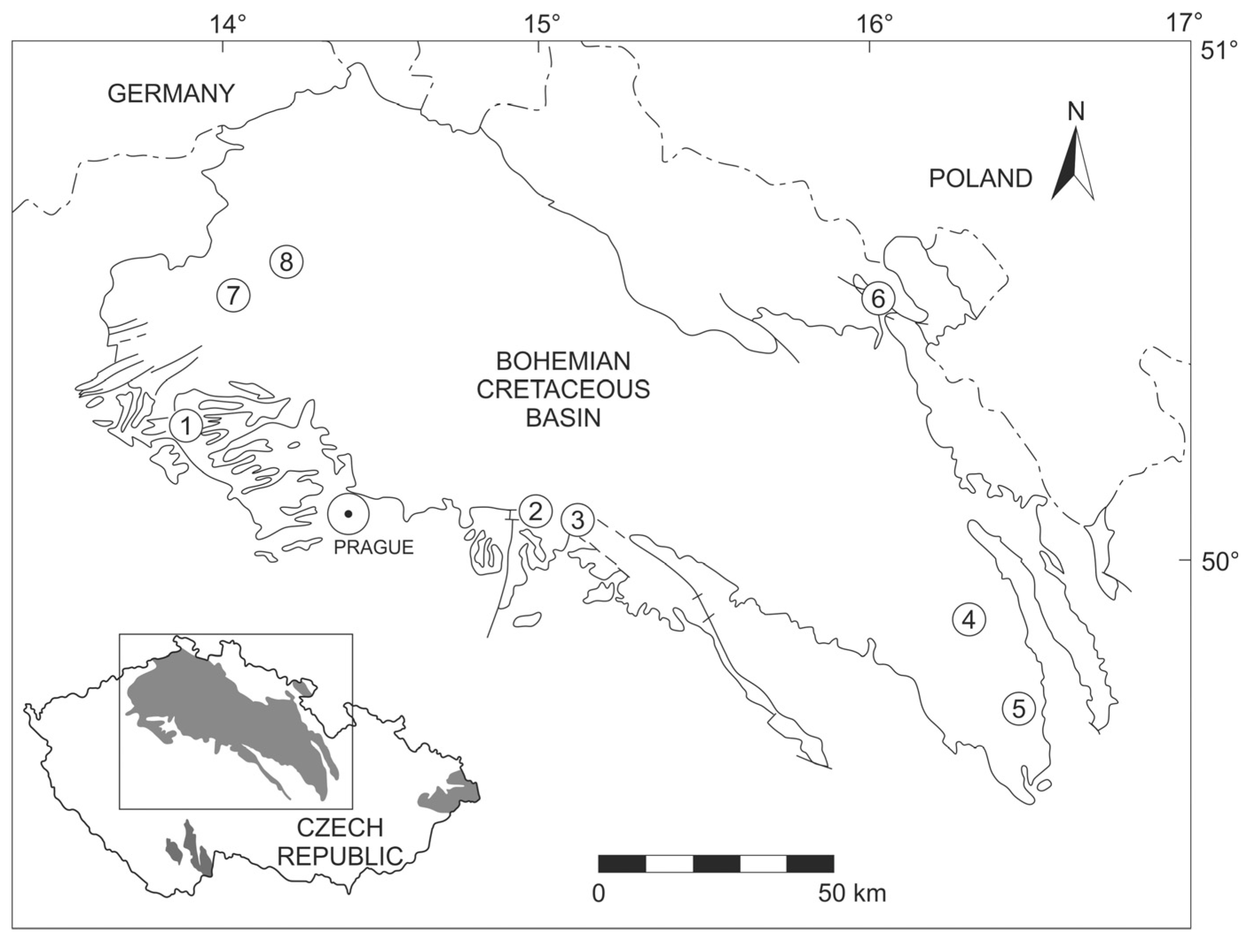 Minerals 11 00246 g001