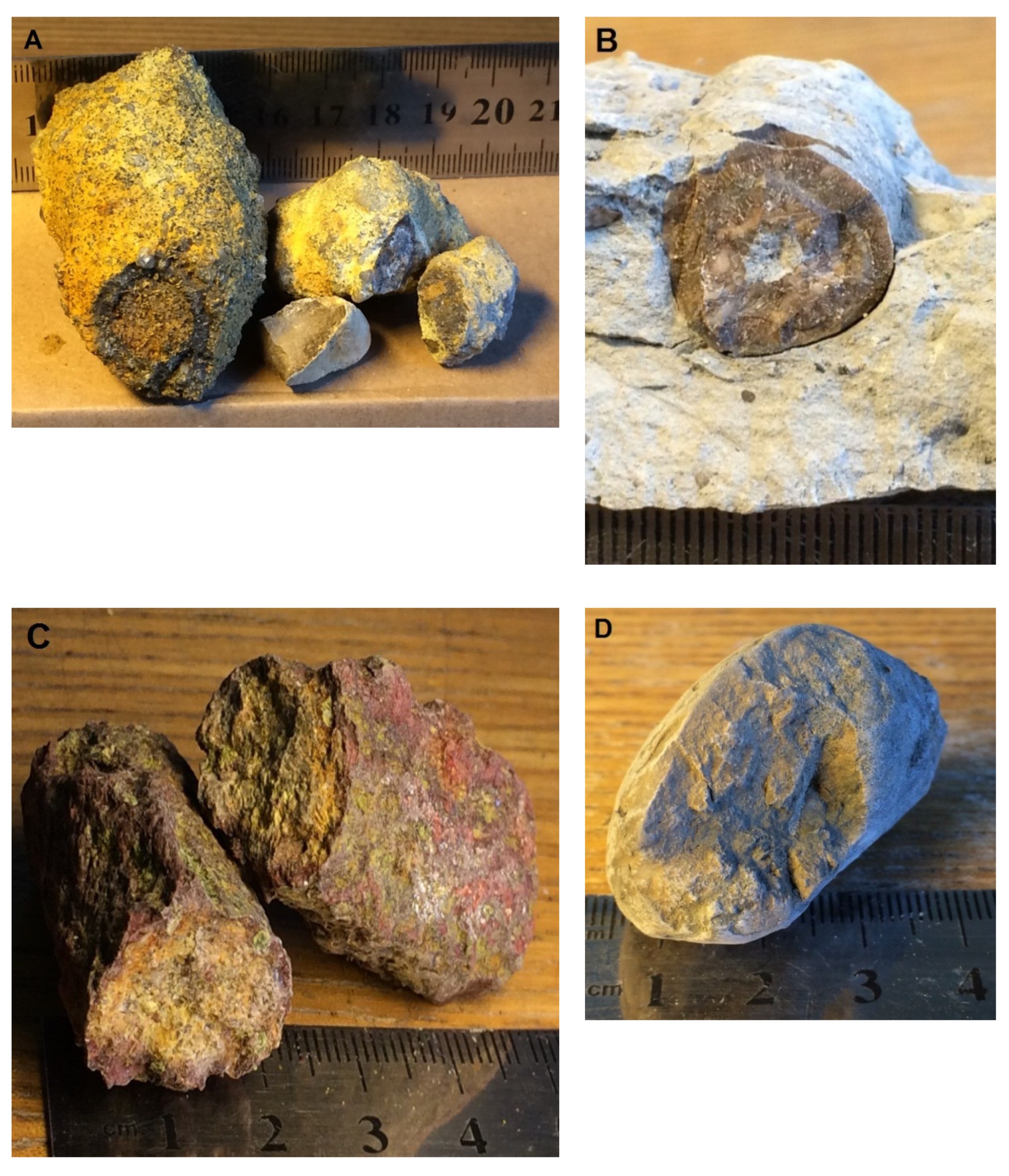 Minerals 11 00246 g003