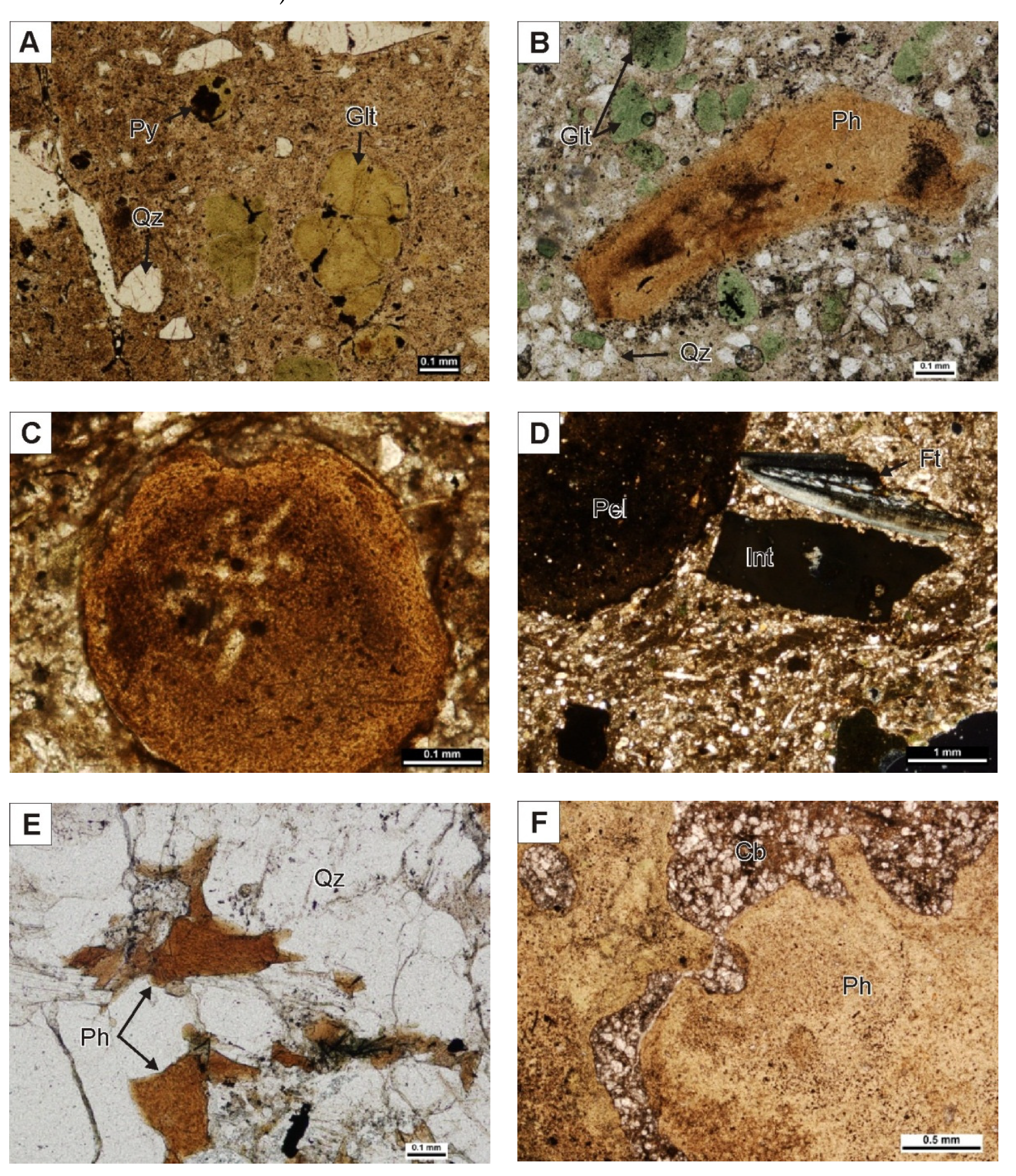 Minerals 11 00246 g004