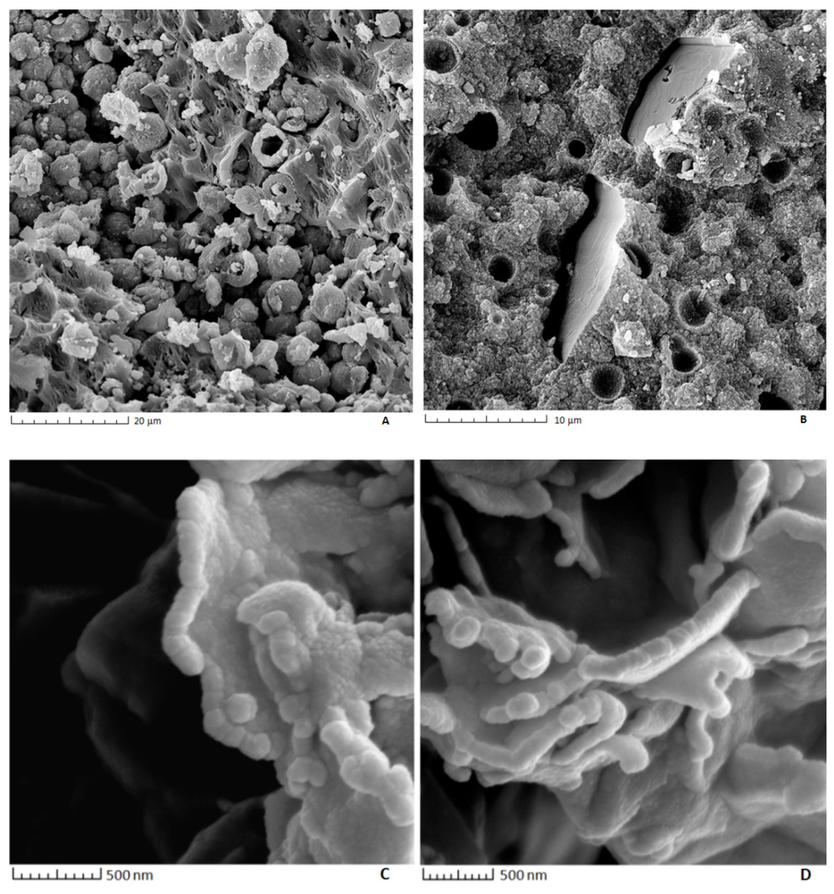 Minerals 11 00246 g005