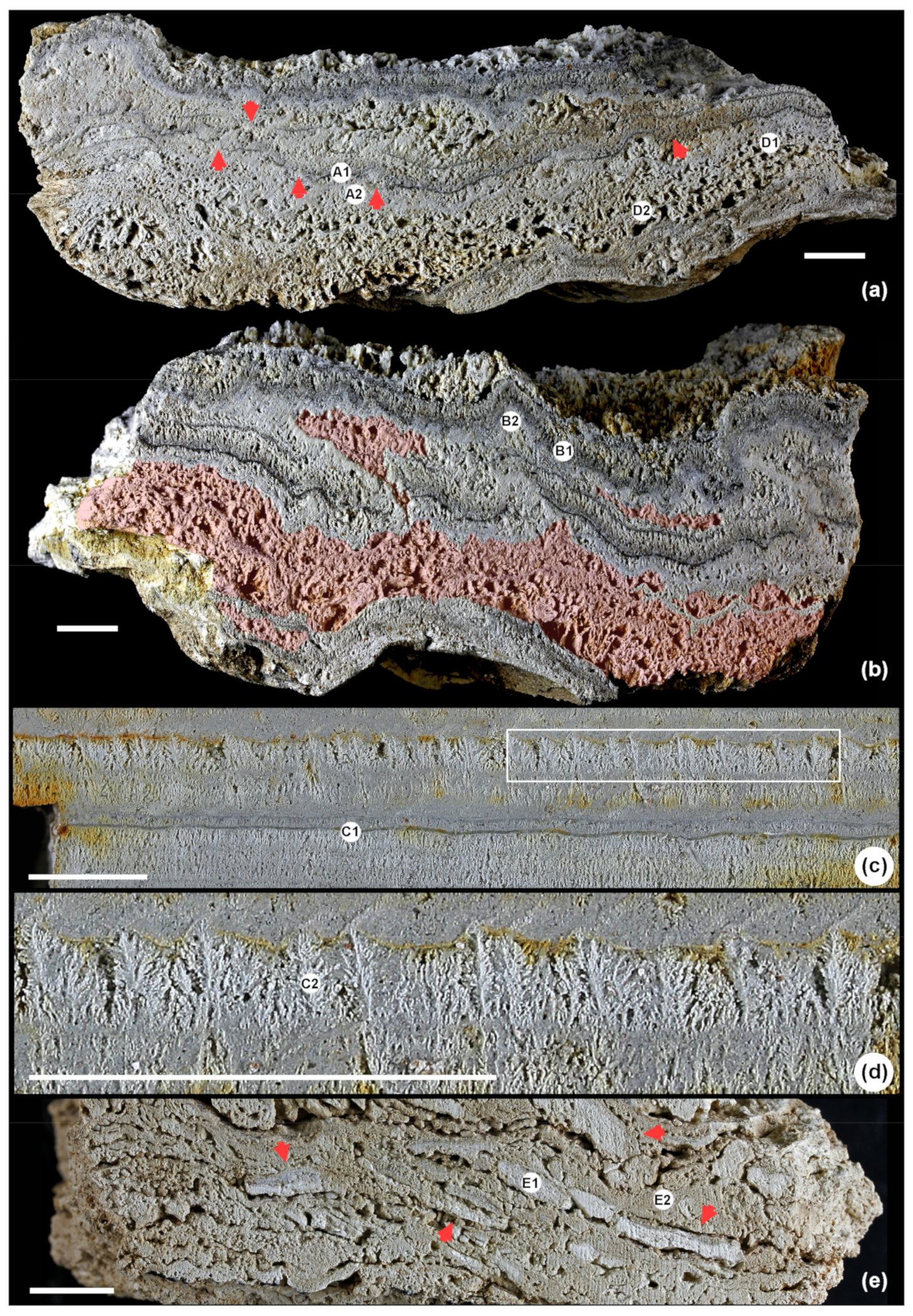 Minerals 11 00263 g003