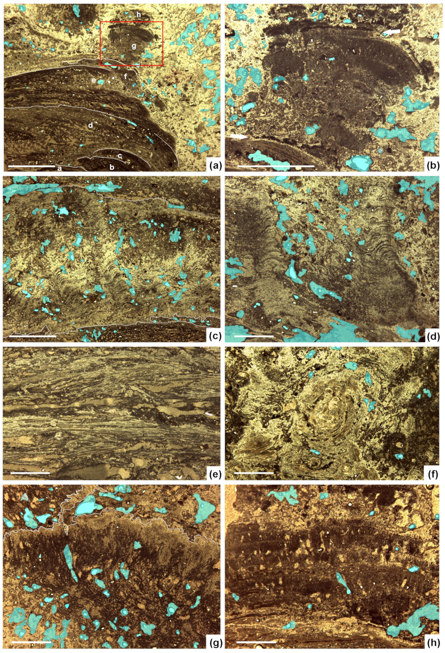 Minerals 11 00263 g004