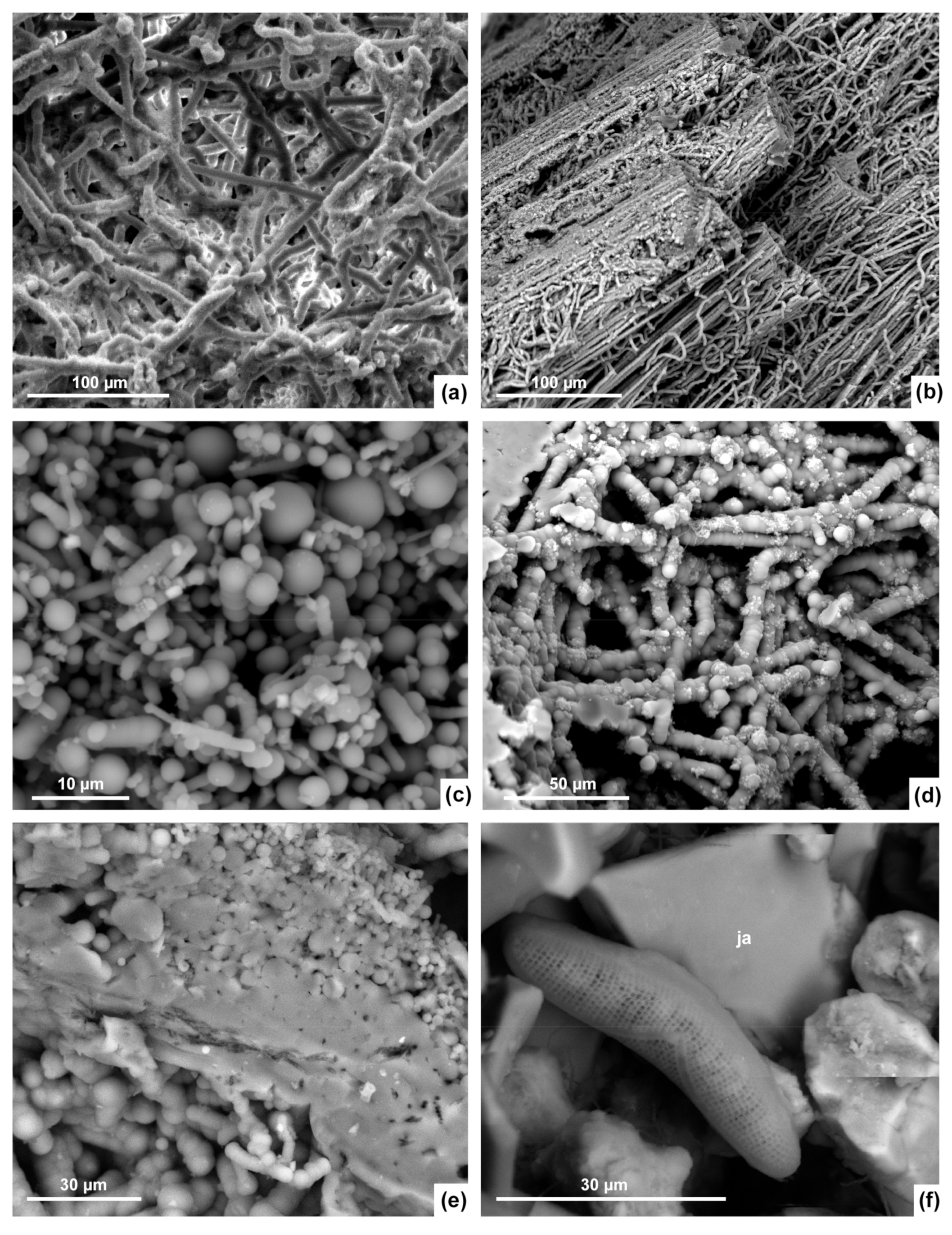Minerals 11 00263 g005