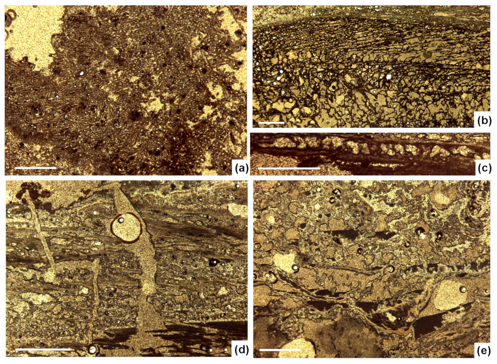 Minerals 11 00263 g006