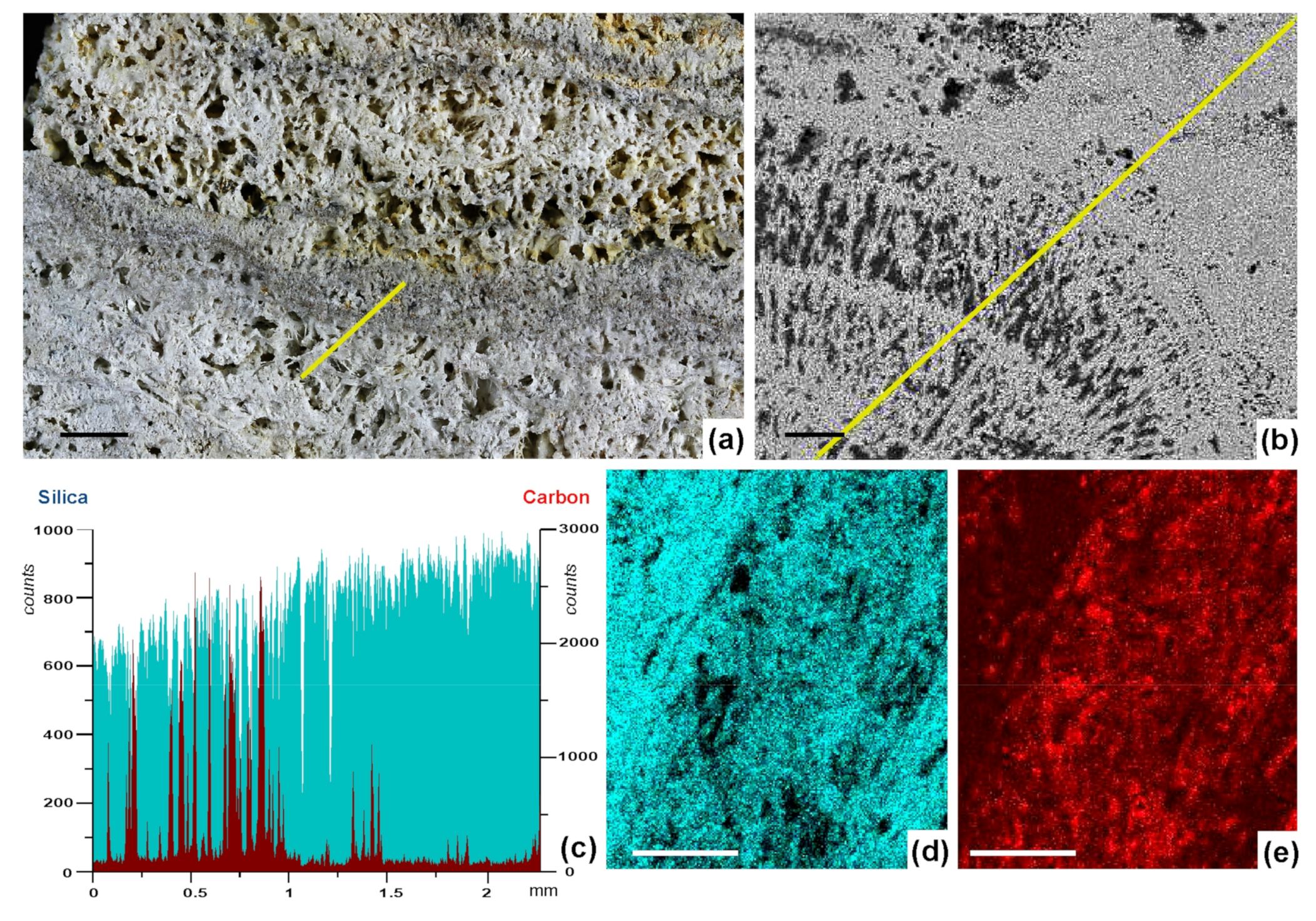 Minerals 11 00263 g007