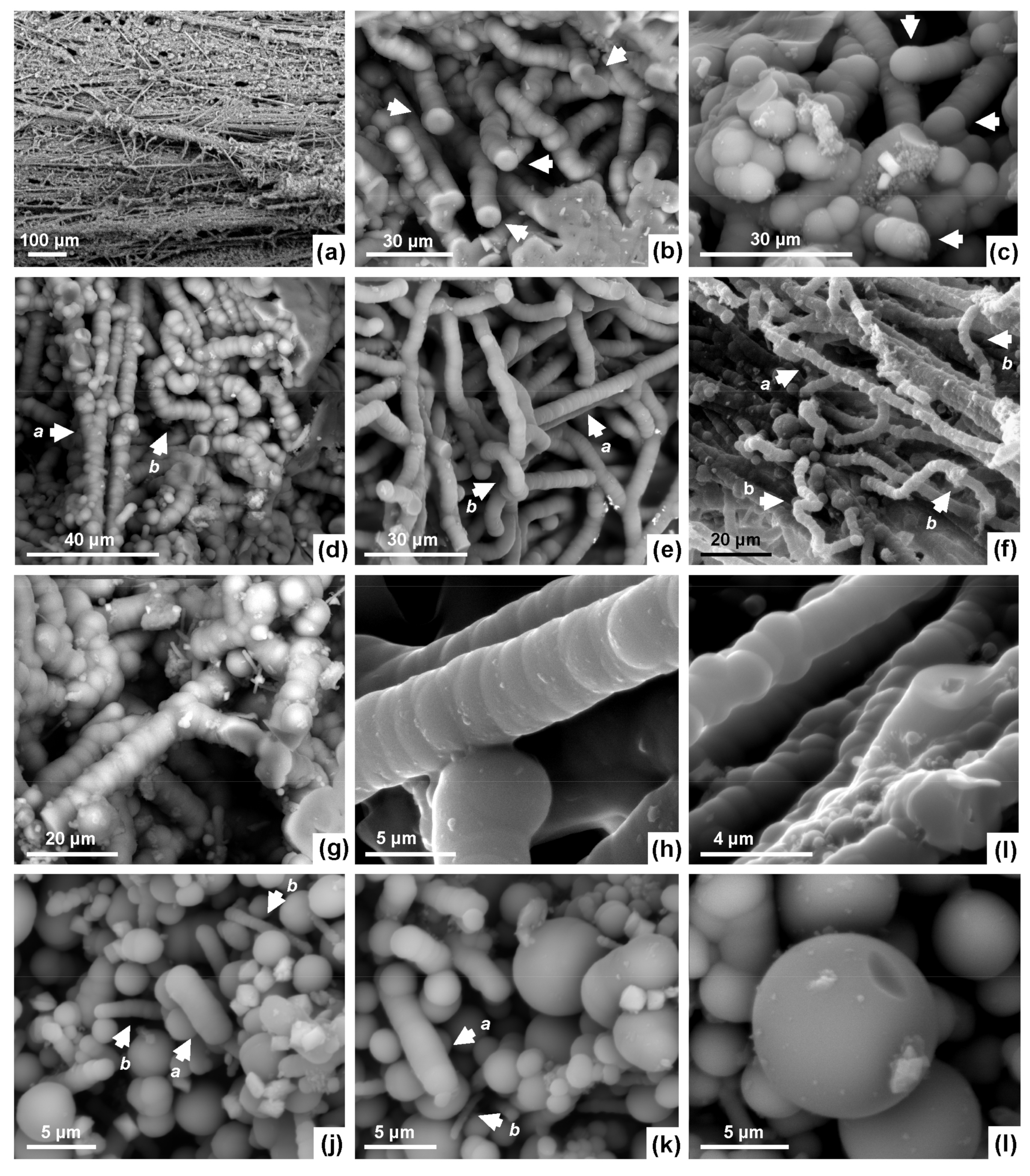 Minerals 11 00263 g008