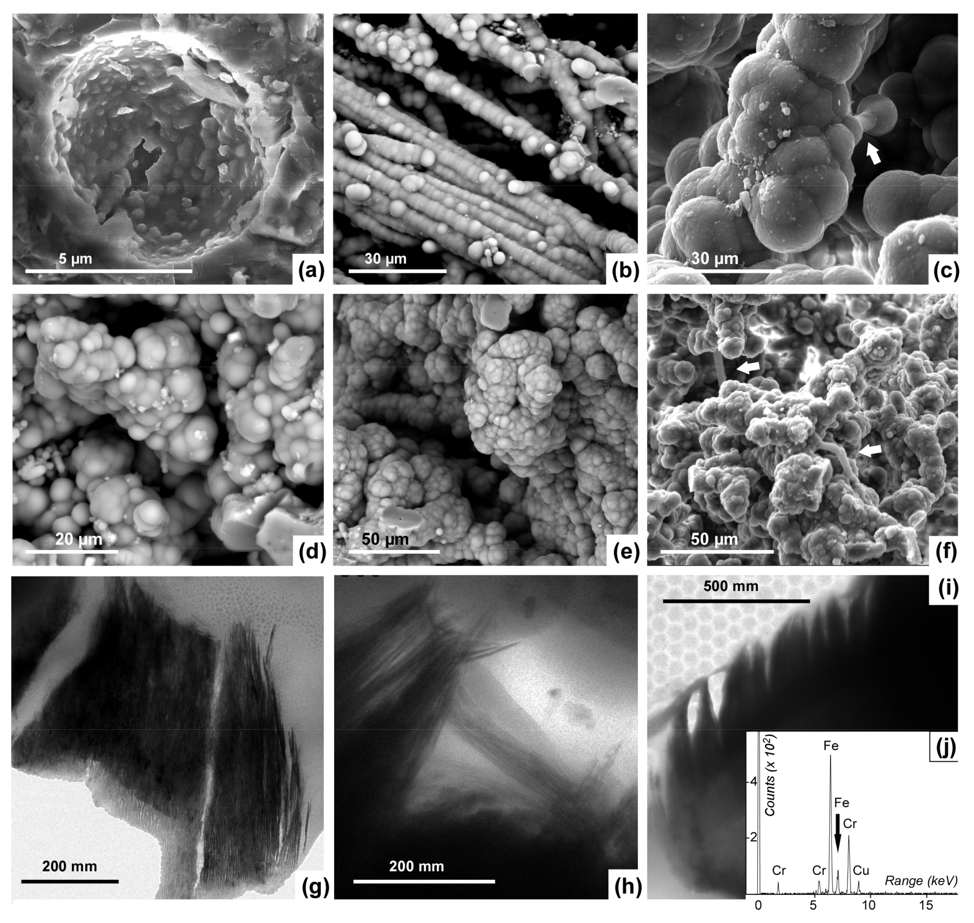 Minerals 11 00263 g009