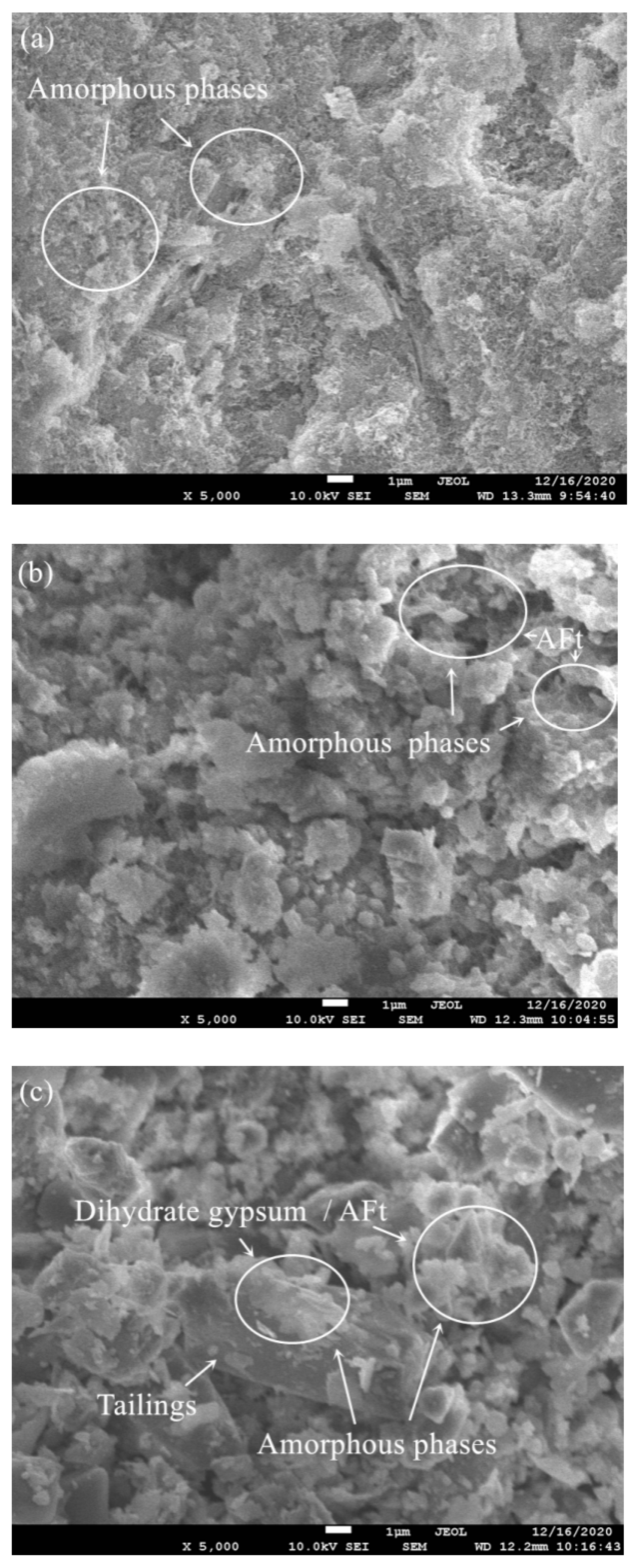 Minerals 11 00283 g005